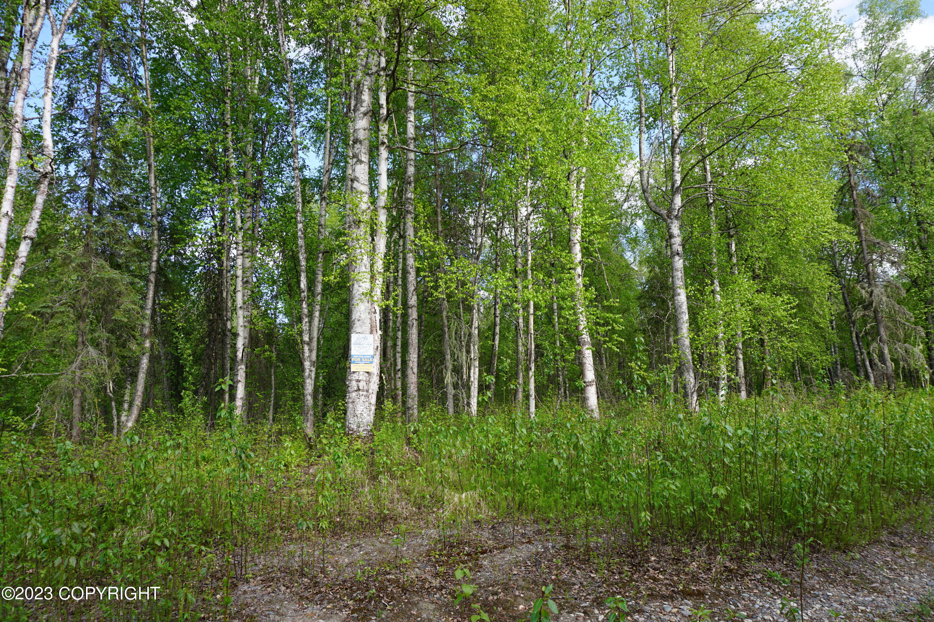 2007 S Clara Circle Property Photo 8