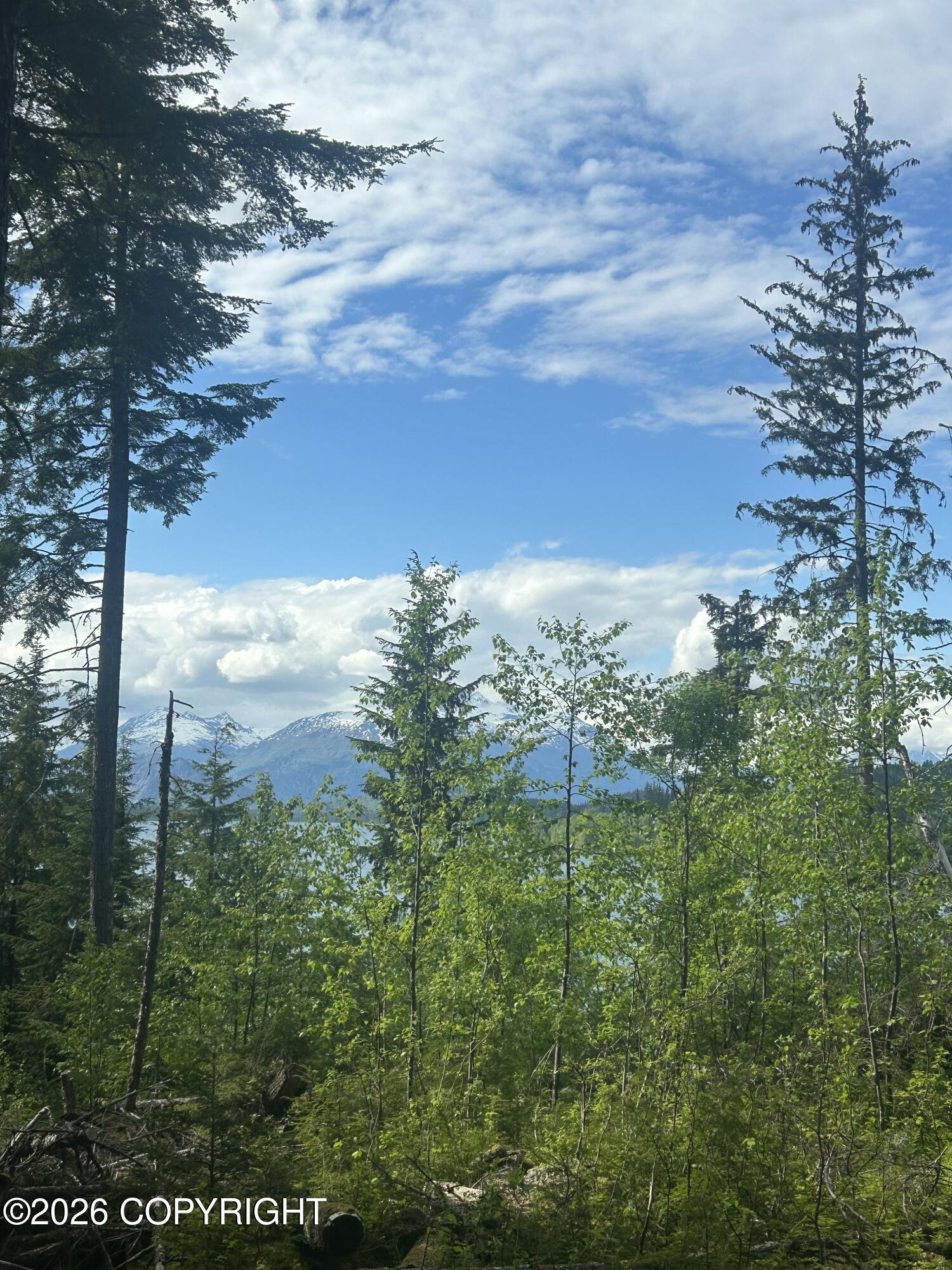 L5 B2 Chilkat Lake Property Photo 4