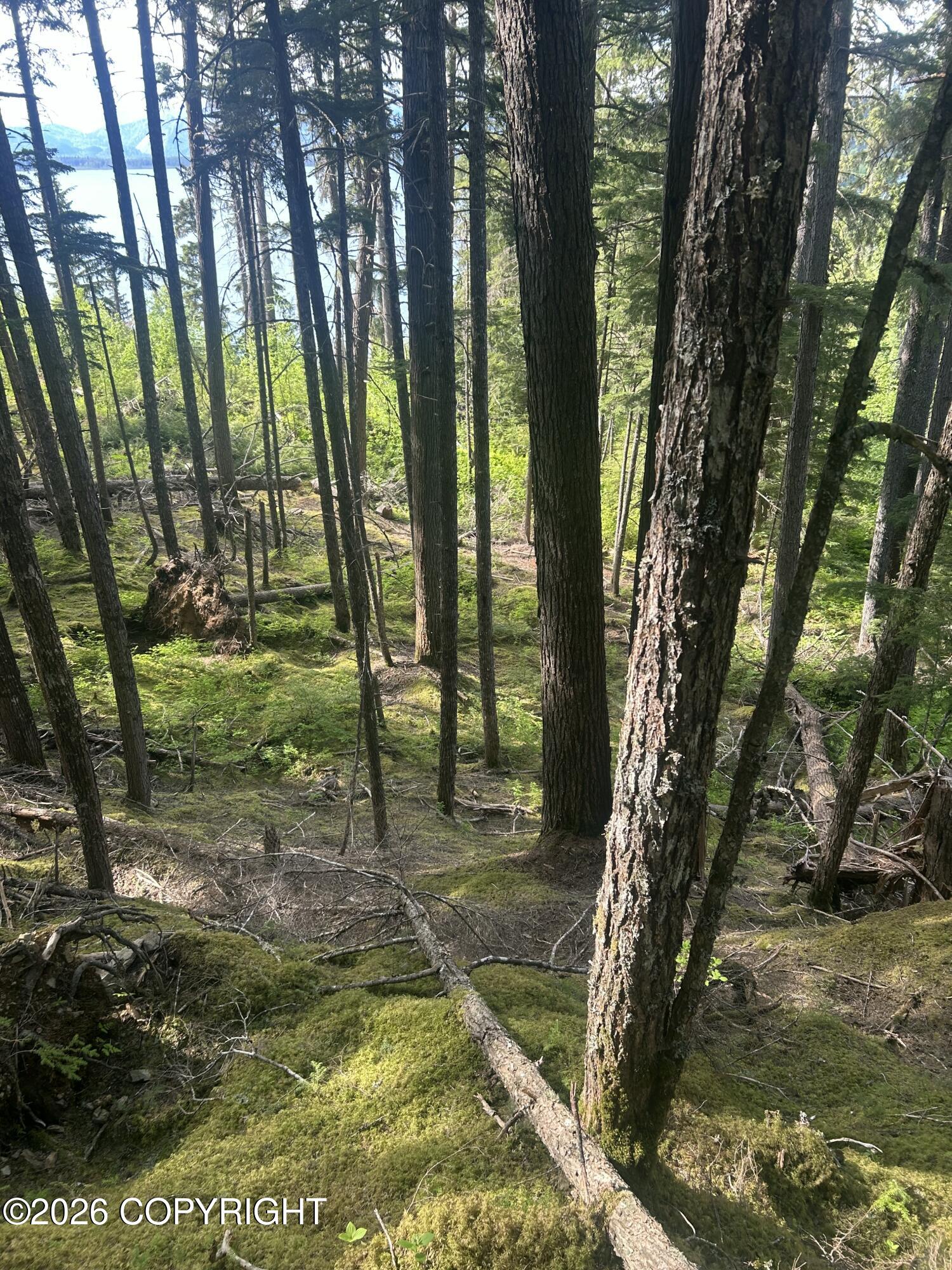 L5 B2 Chilkat Lake Property Photo 5