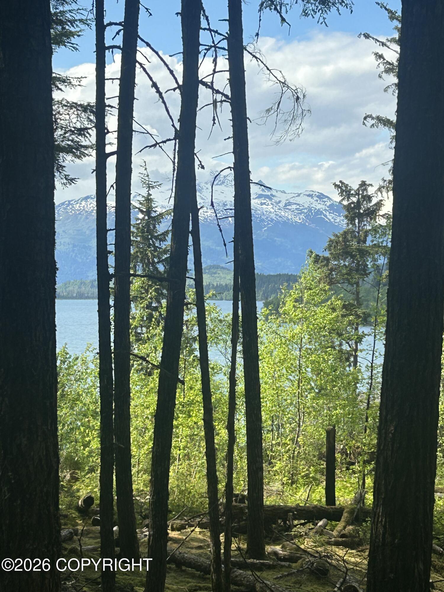 L5 B2 Chilkat Lake Property Photo 6