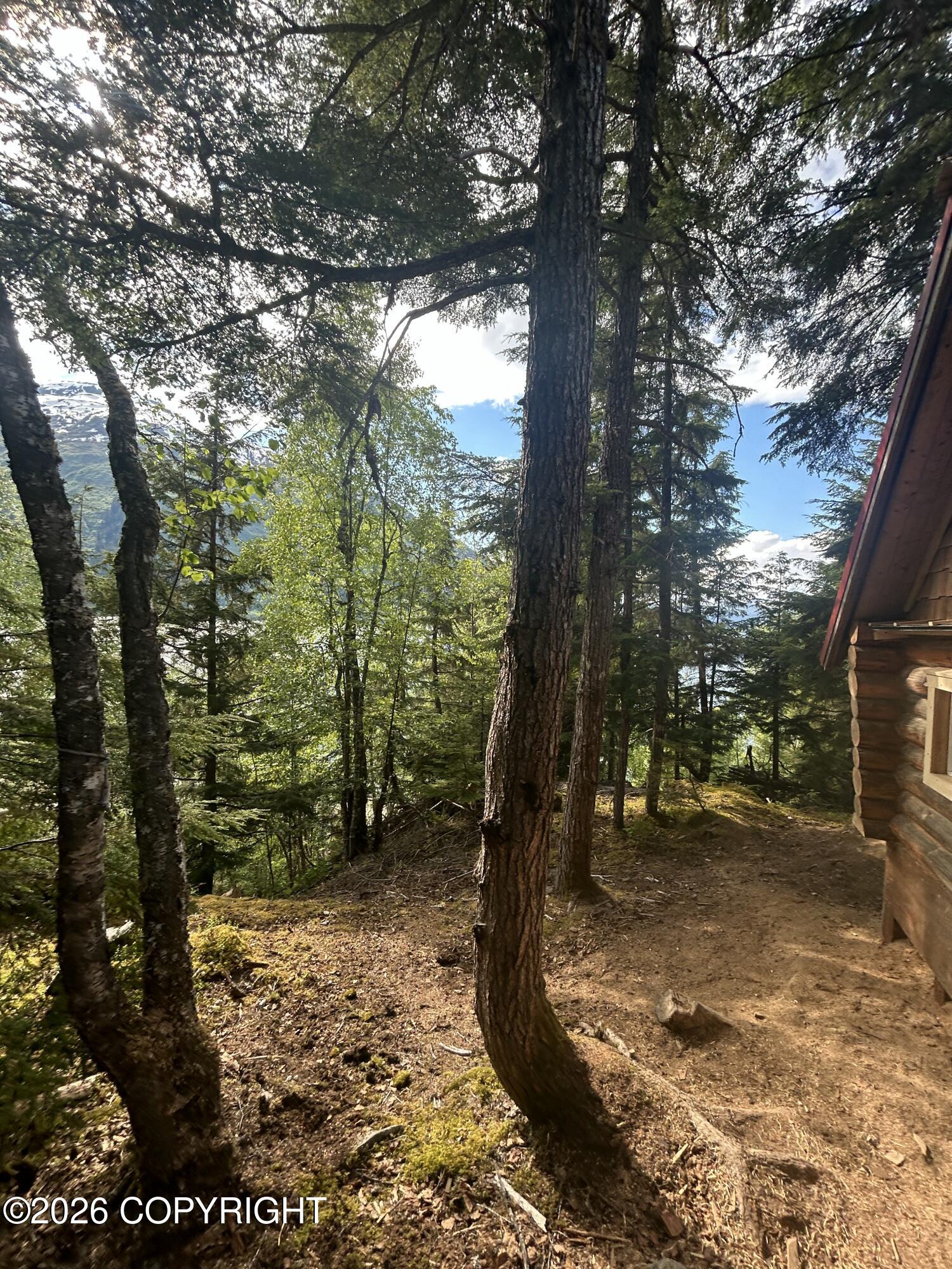 L5 B2 Chilkat Lake Property Photo 12