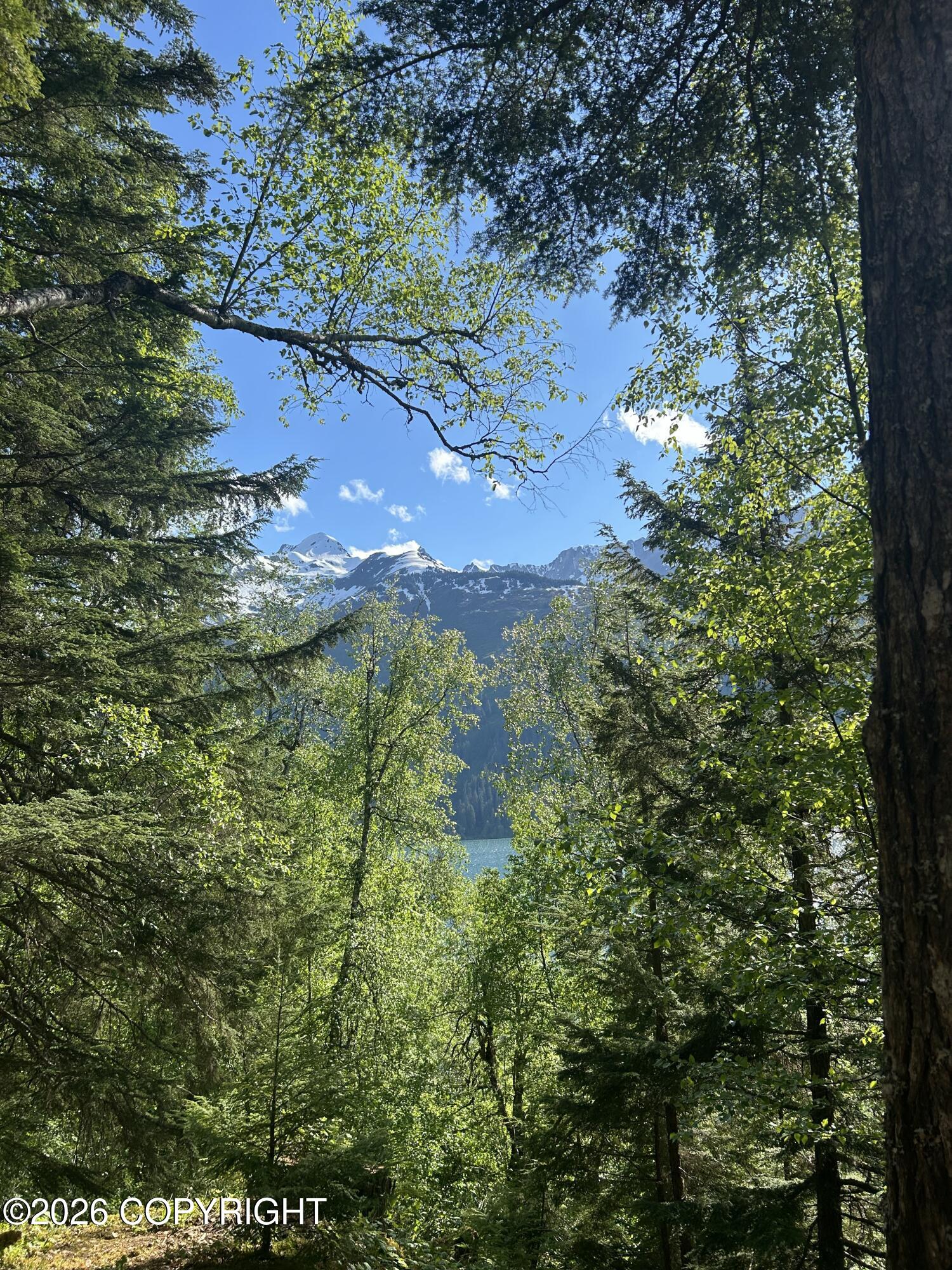 L5 B2 Chilkat Lake Property Photo 13