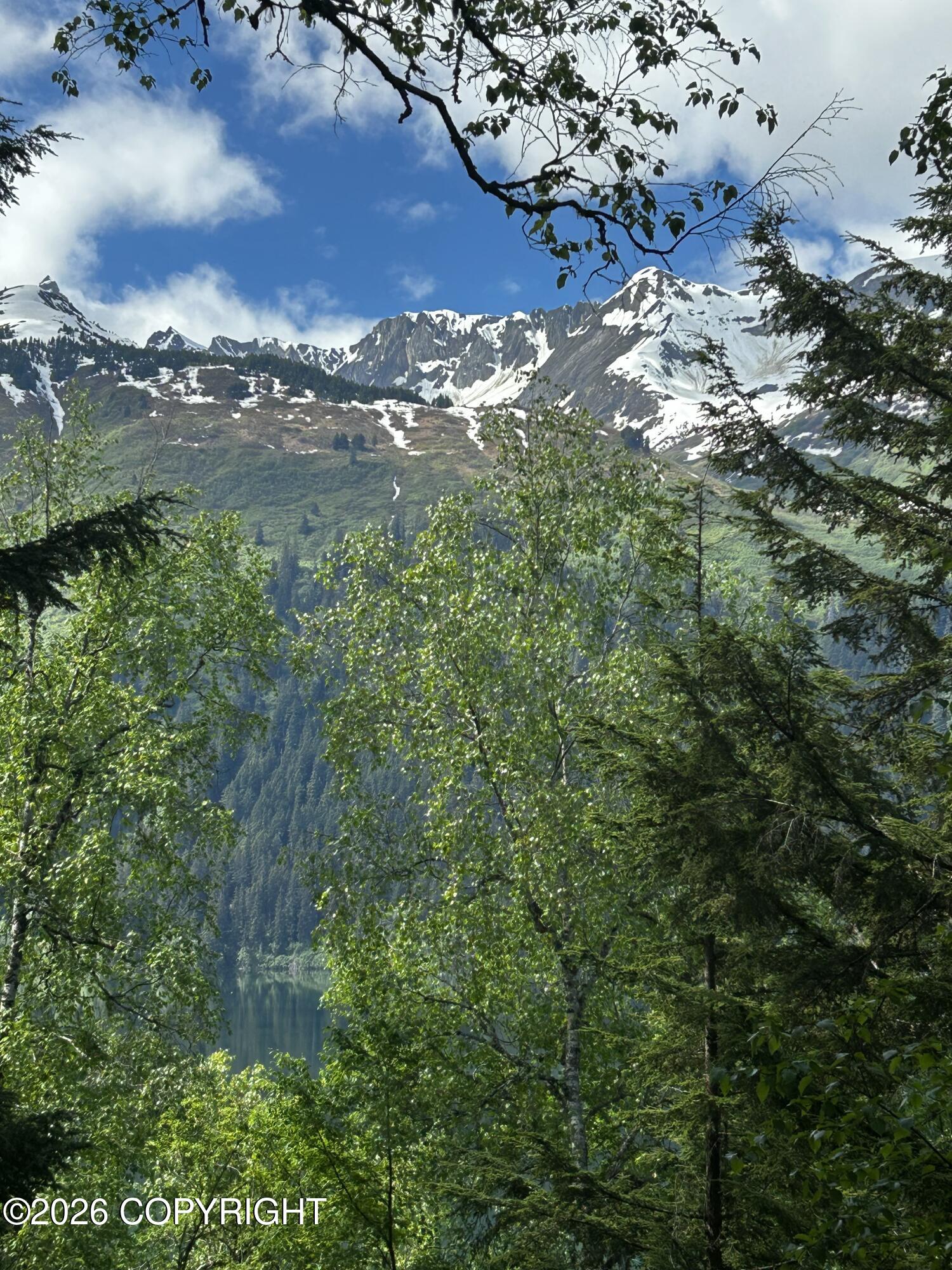 L5 B2 Chilkat Lake Property Photo 18