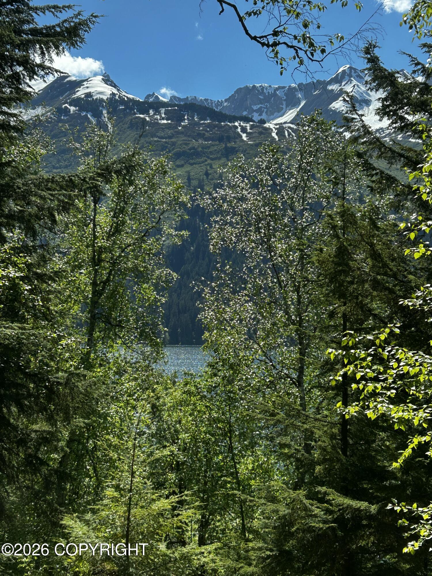 L5 B2 Chilkat Lake Property Photo 20