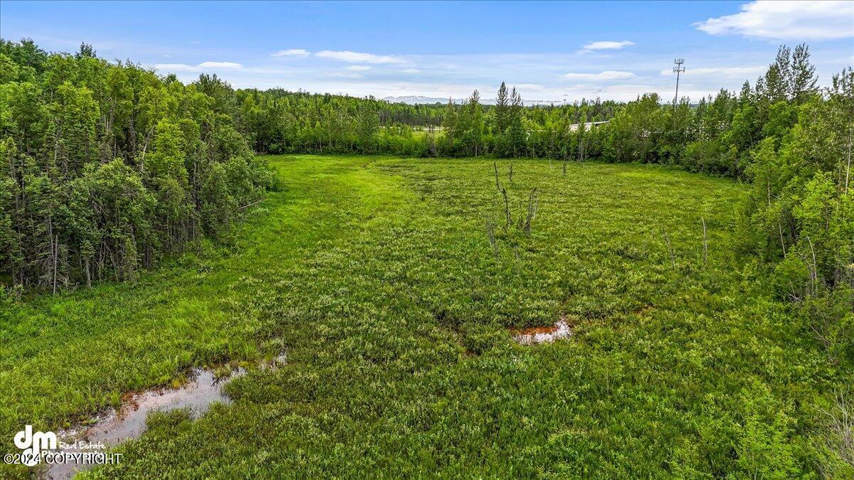 5200 W Parks Highway Property Photo 11