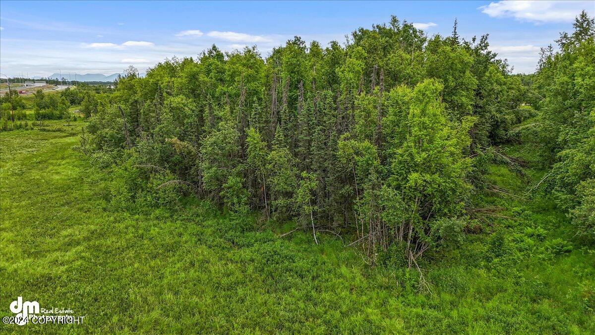 5200 W Parks Highway Property Photo 13