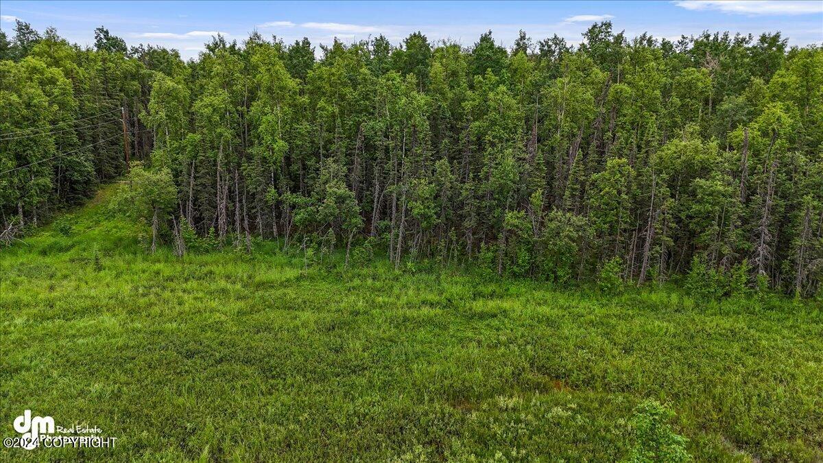 5200 W Parks Highway Property Photo 14