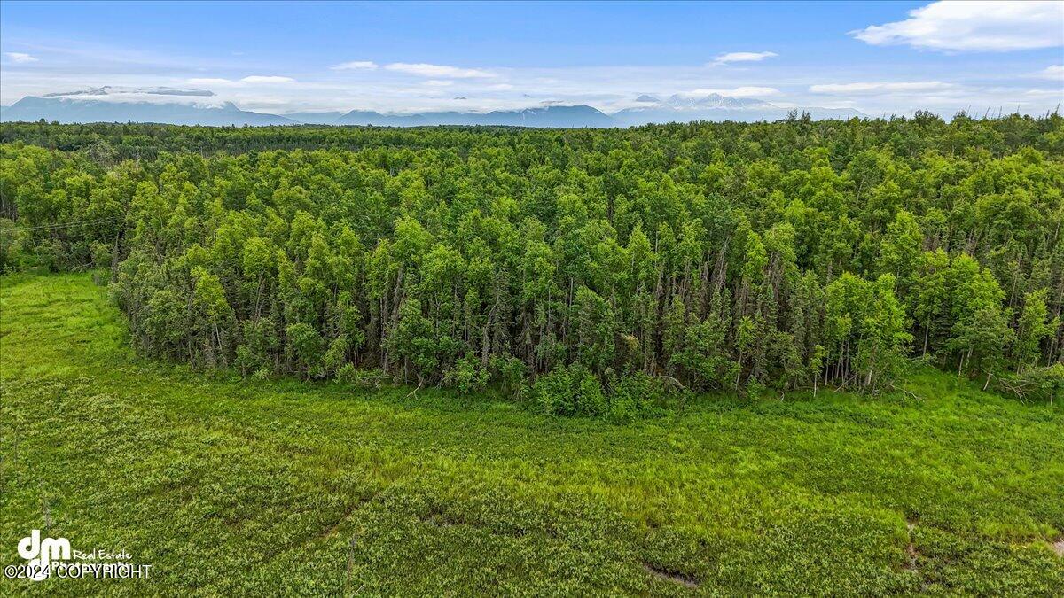 5200 W Parks Highway Property Photo 17