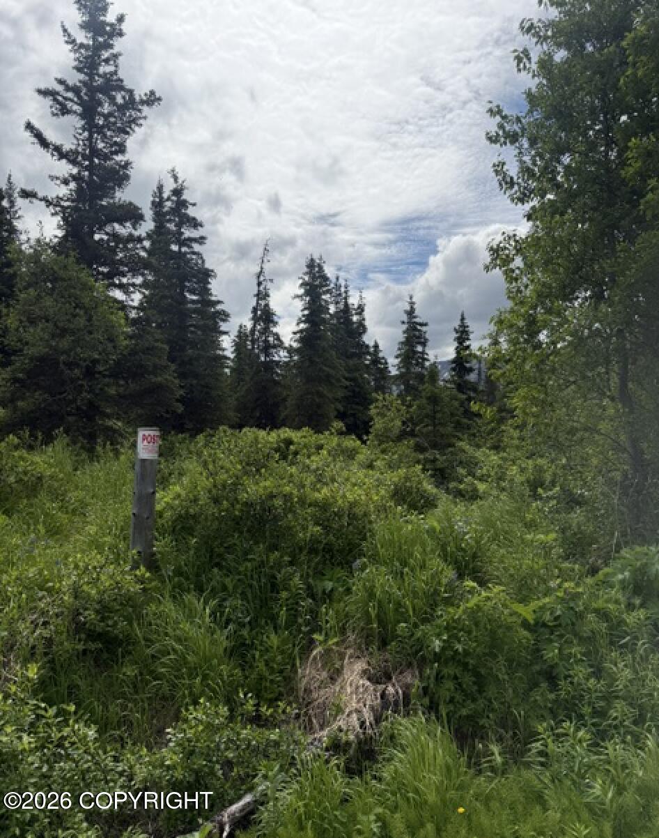 Mile 6.7 Hiland Road Property Photo 1