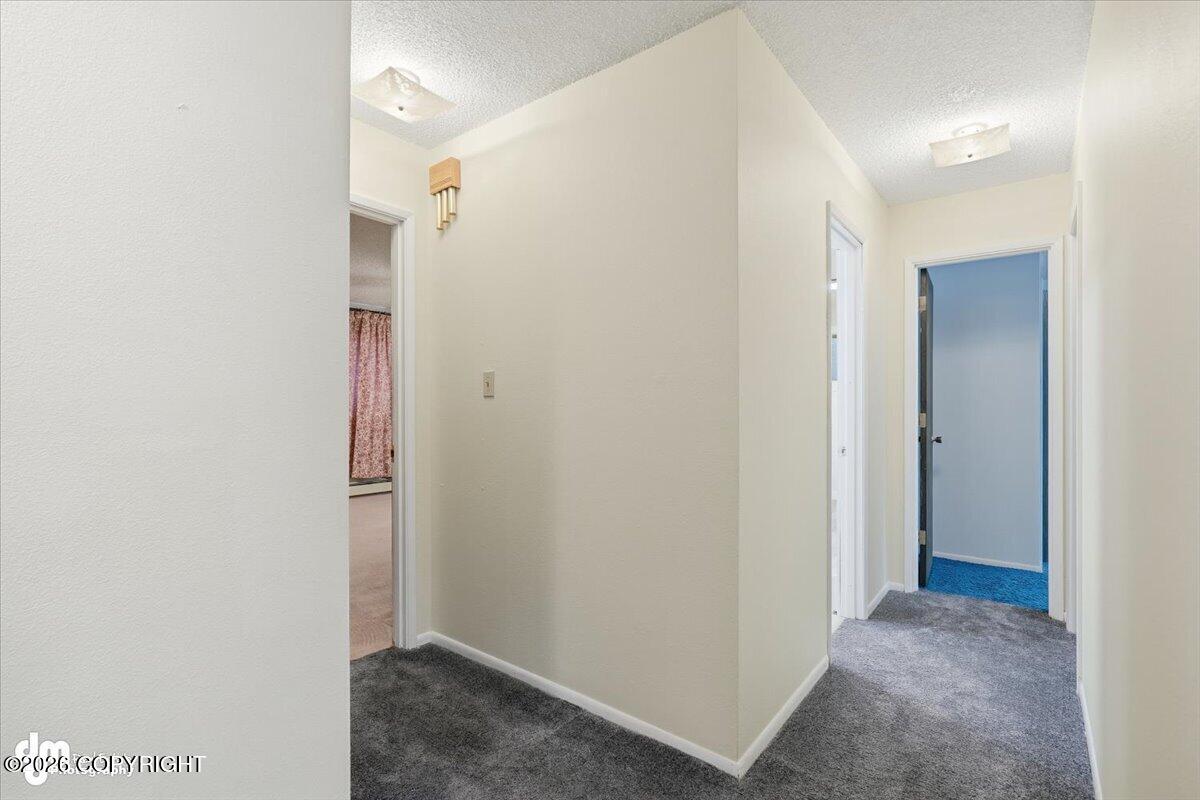 21928 Birchwood Loop Road Property Photo 55
