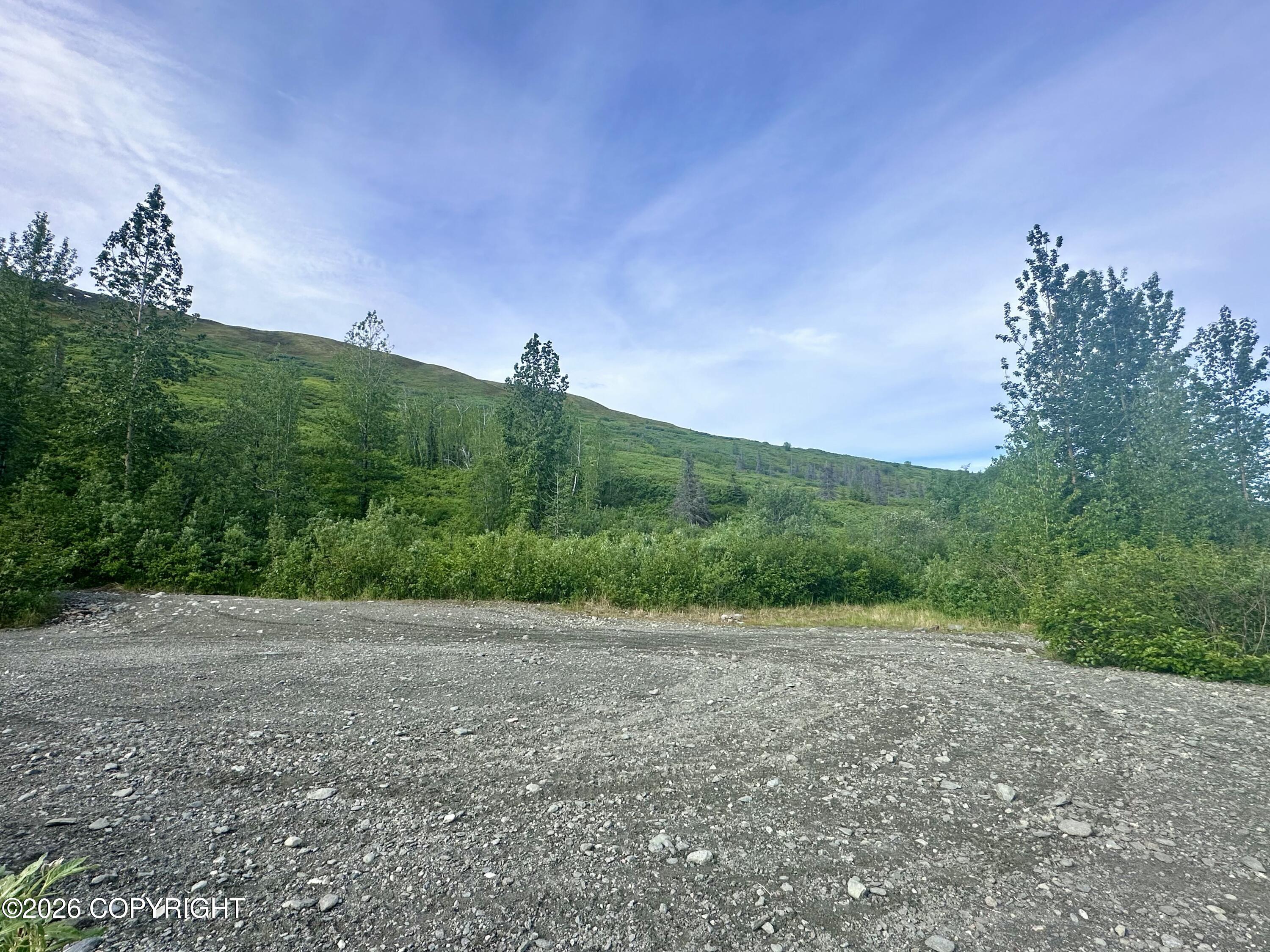 26989 N Willow Fishhook Road Property Photo 11