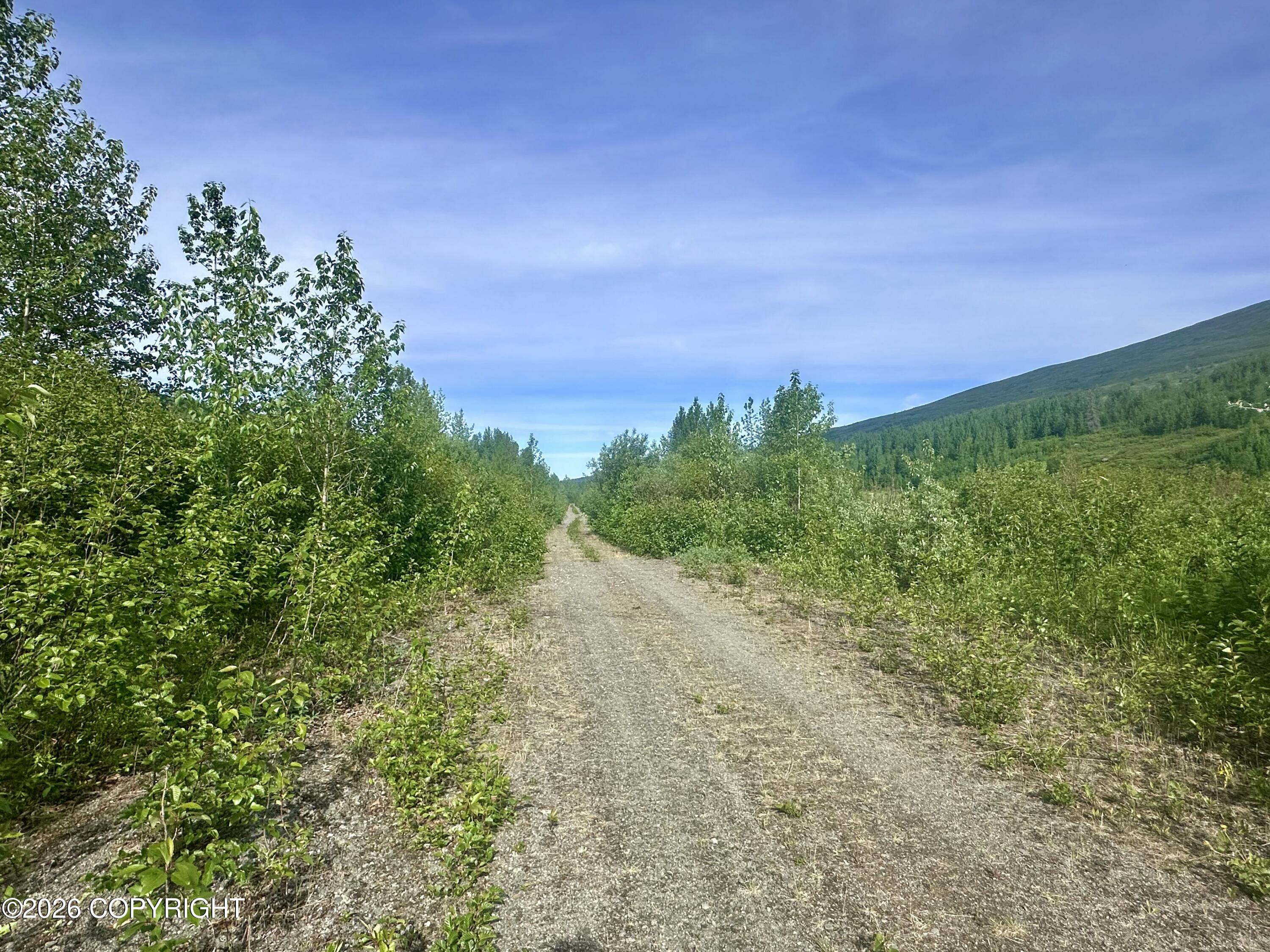 26989 N Willow Fishhook Road Property Photo 13