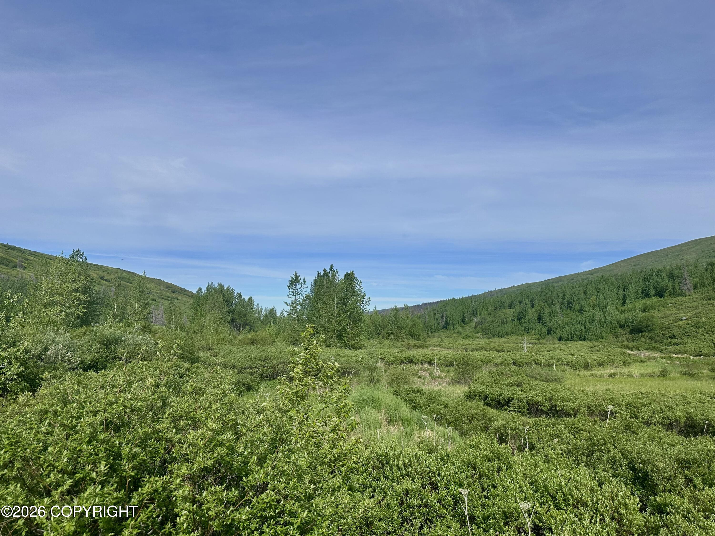 26989 N Willow Fishhook Road Property Photo 14