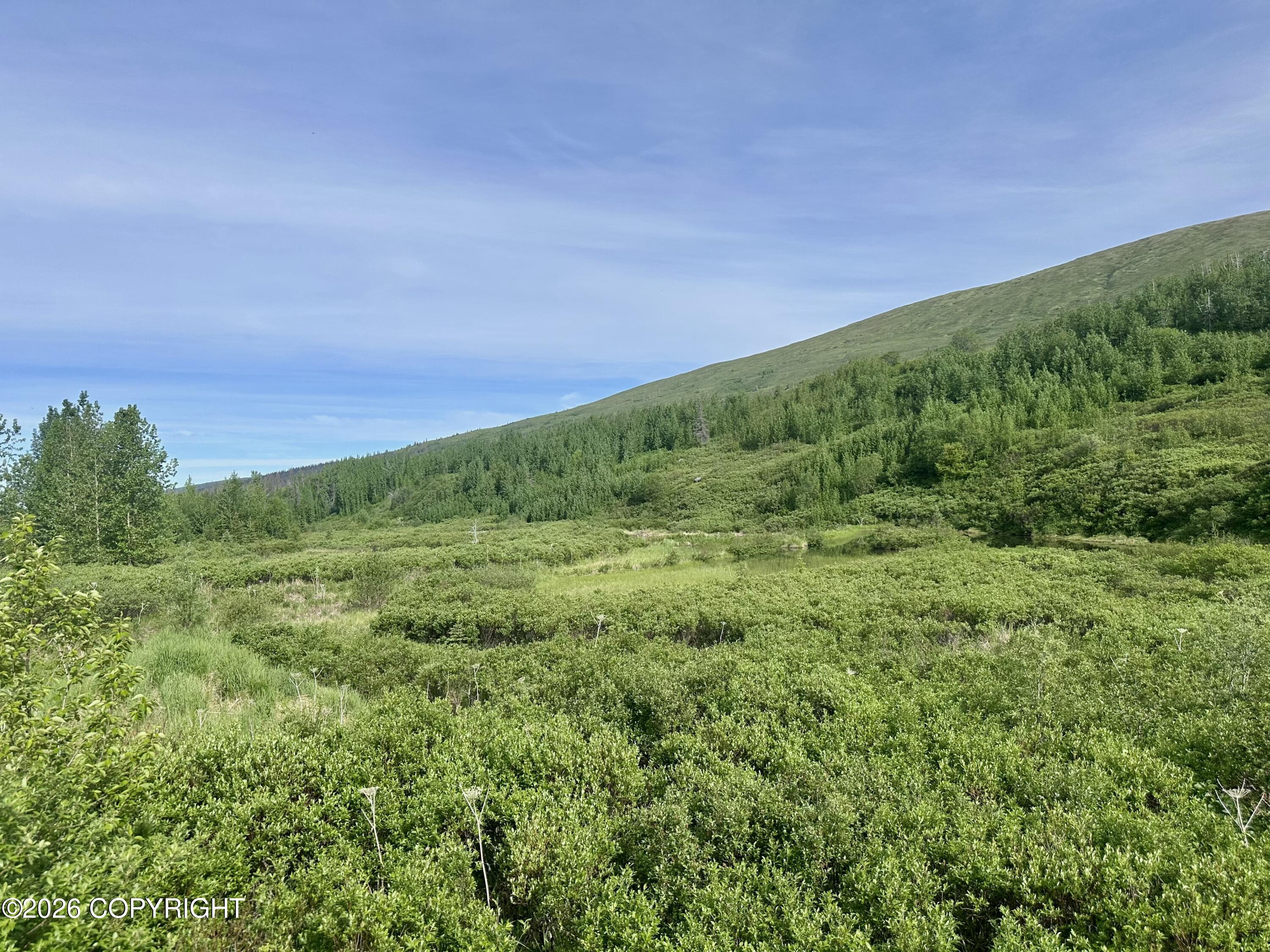 26989 N Willow Fishhook Road Property Photo 15
