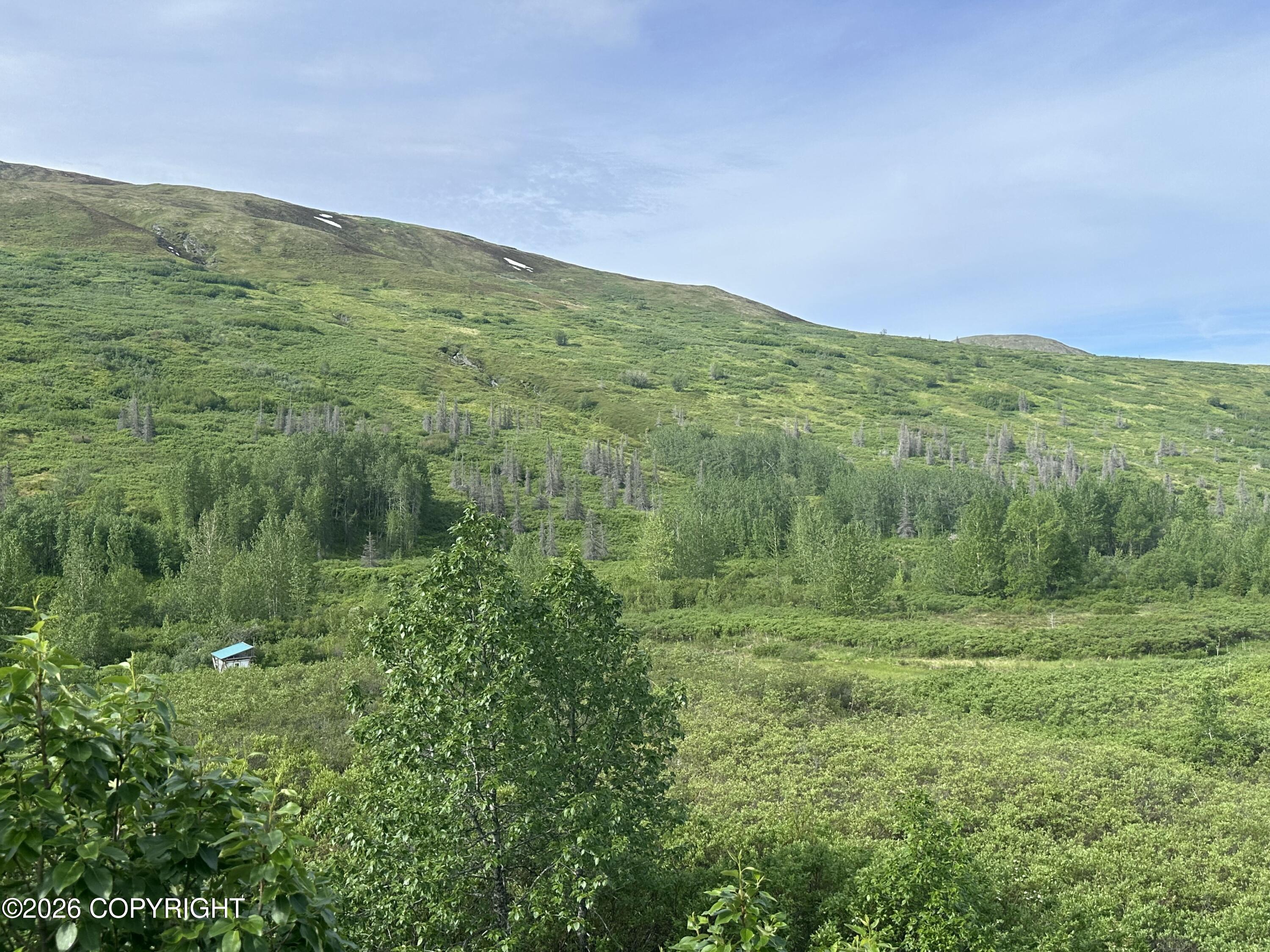 26989 N Willow Fishhook Road Property Photo 19