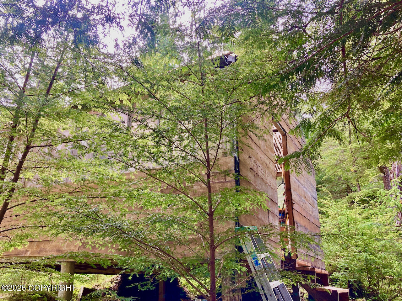 39f Wadleigh Property Photo 54
