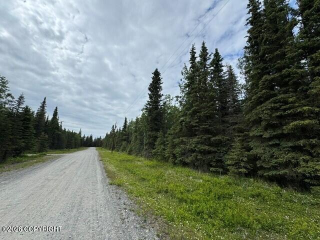 53880 Acy's Avenue Property Photo 2