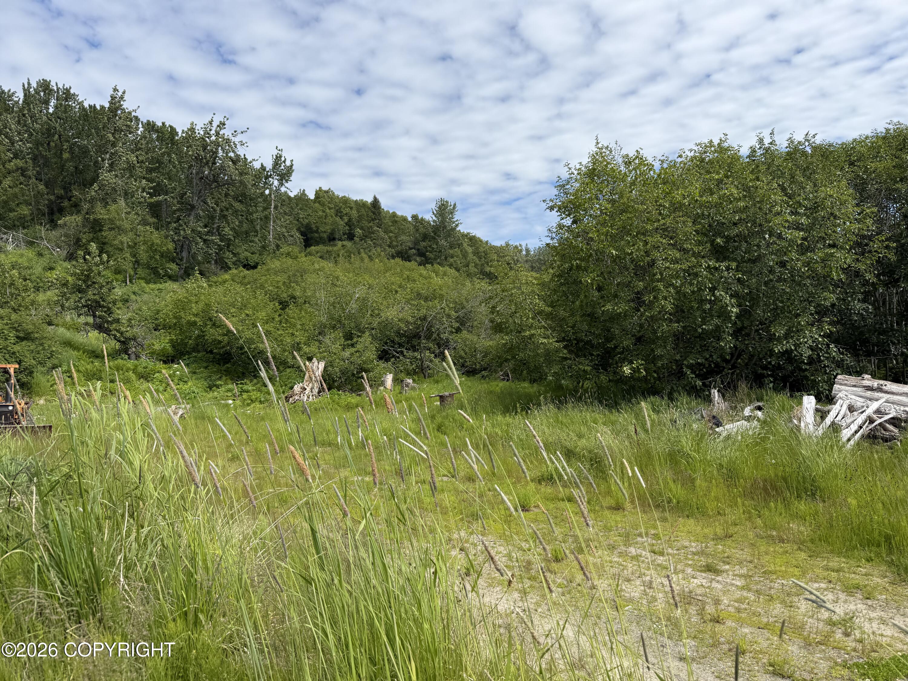 56910 Bradley Lane Property Photo 9