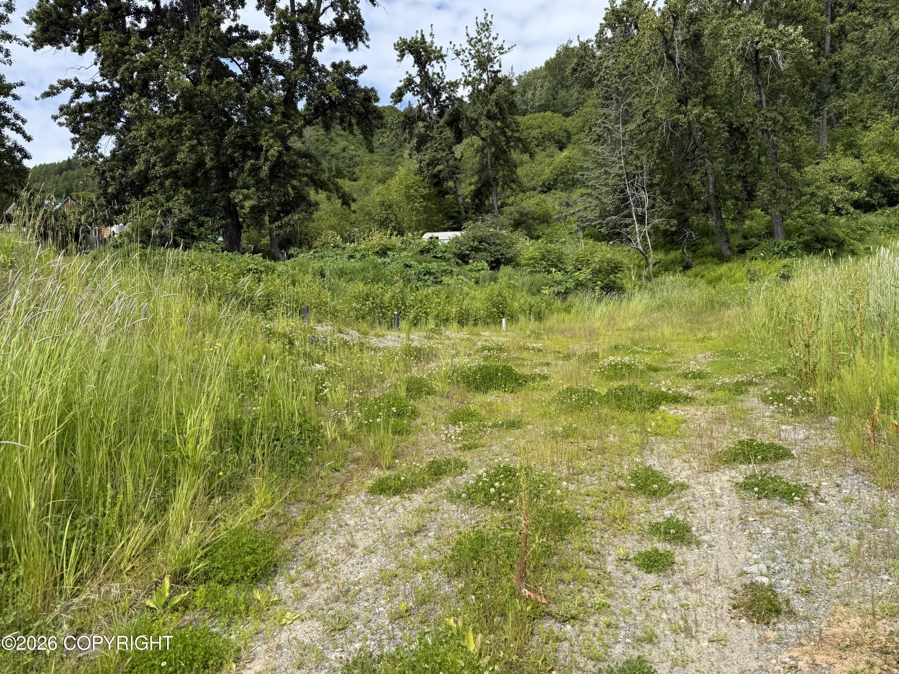 56910 Bradley Lane Property Photo 10