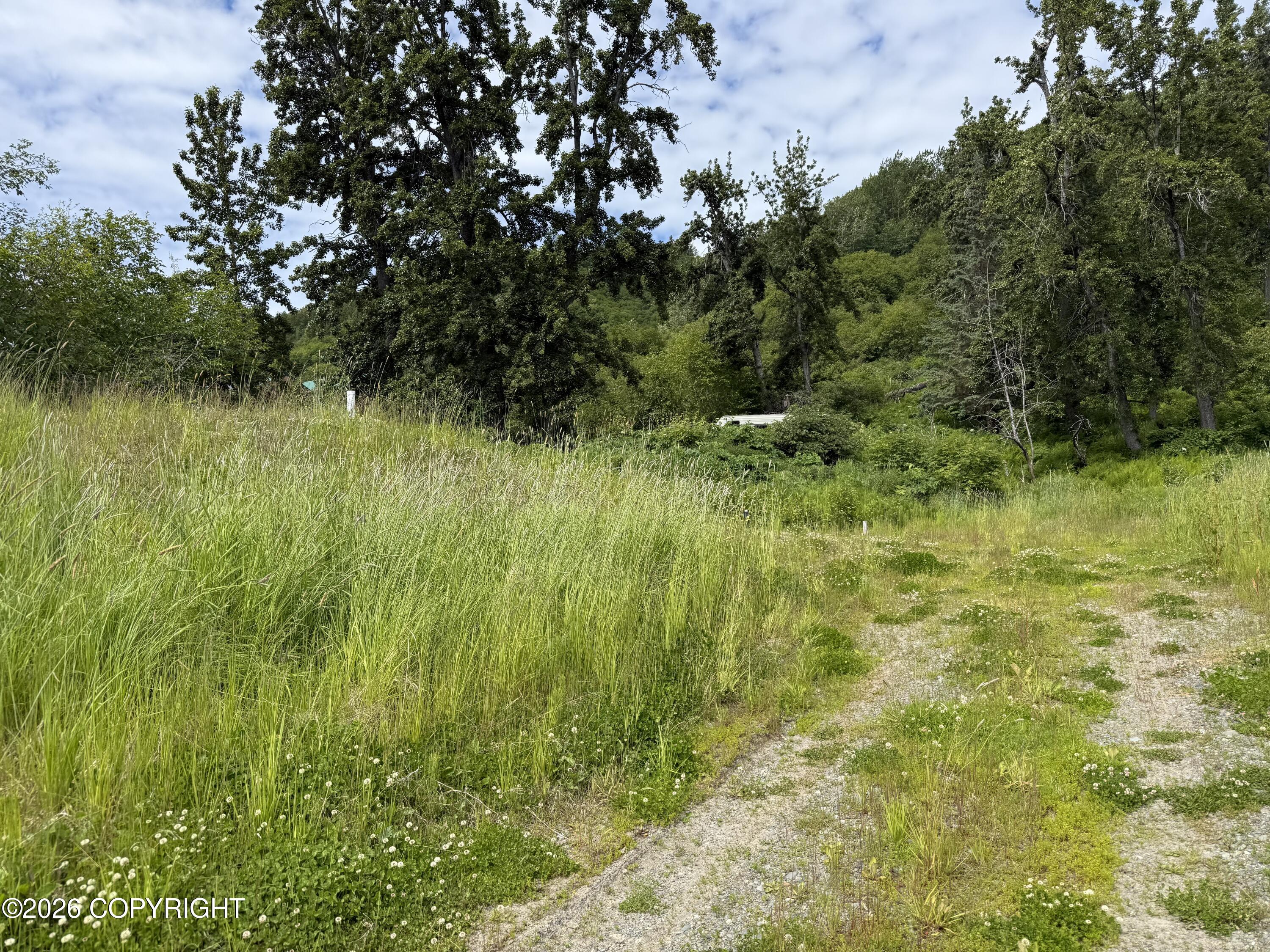 56910 Bradley Lane Property Photo 11