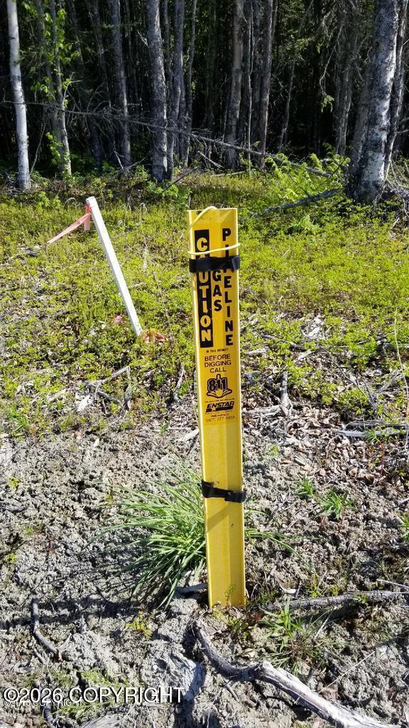 49475 Sterling Highway Property Photo 3