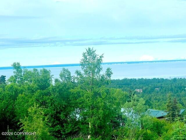 12515 Rya Road Property Photo 147