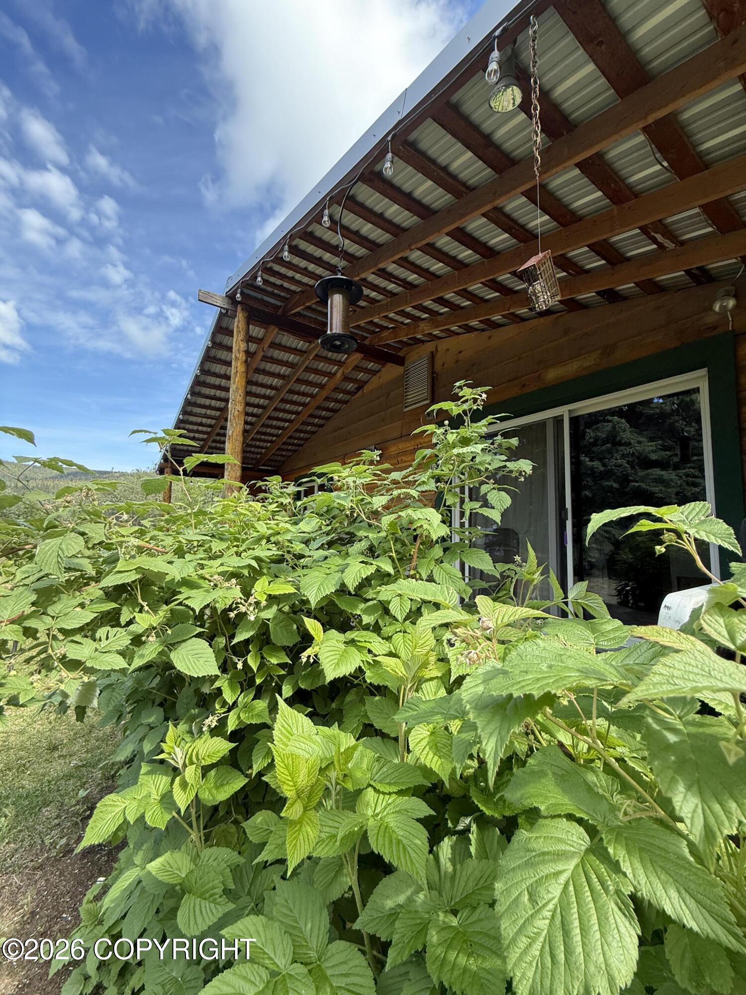 5855 Gold Rush Trail Property Photo 9