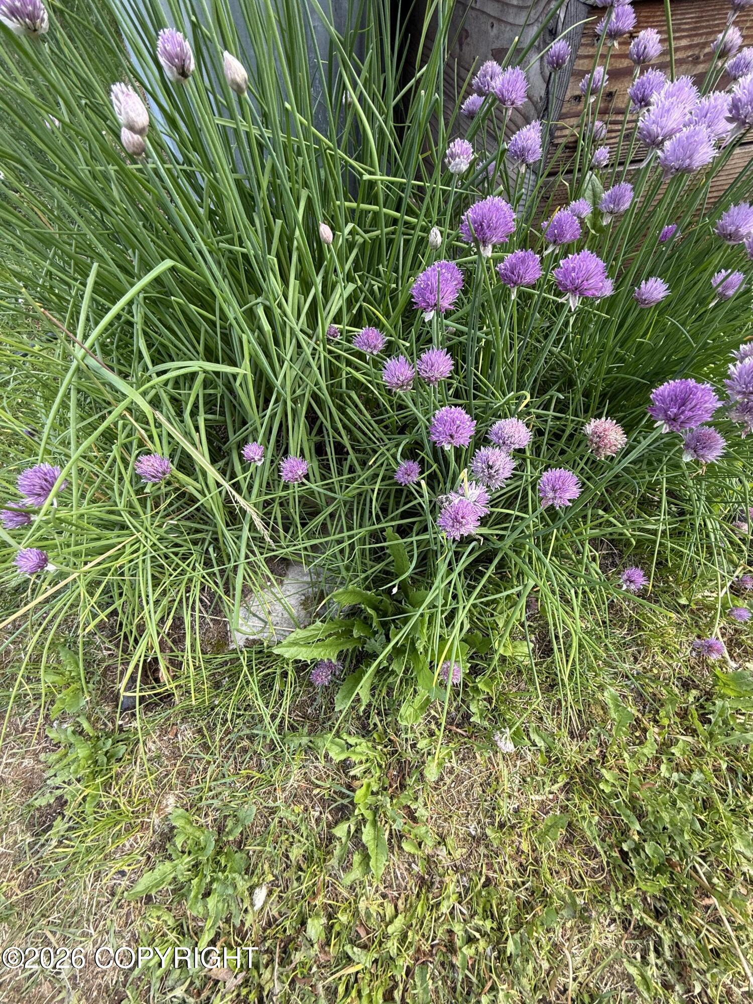 5855 Gold Rush Trail Property Photo 13