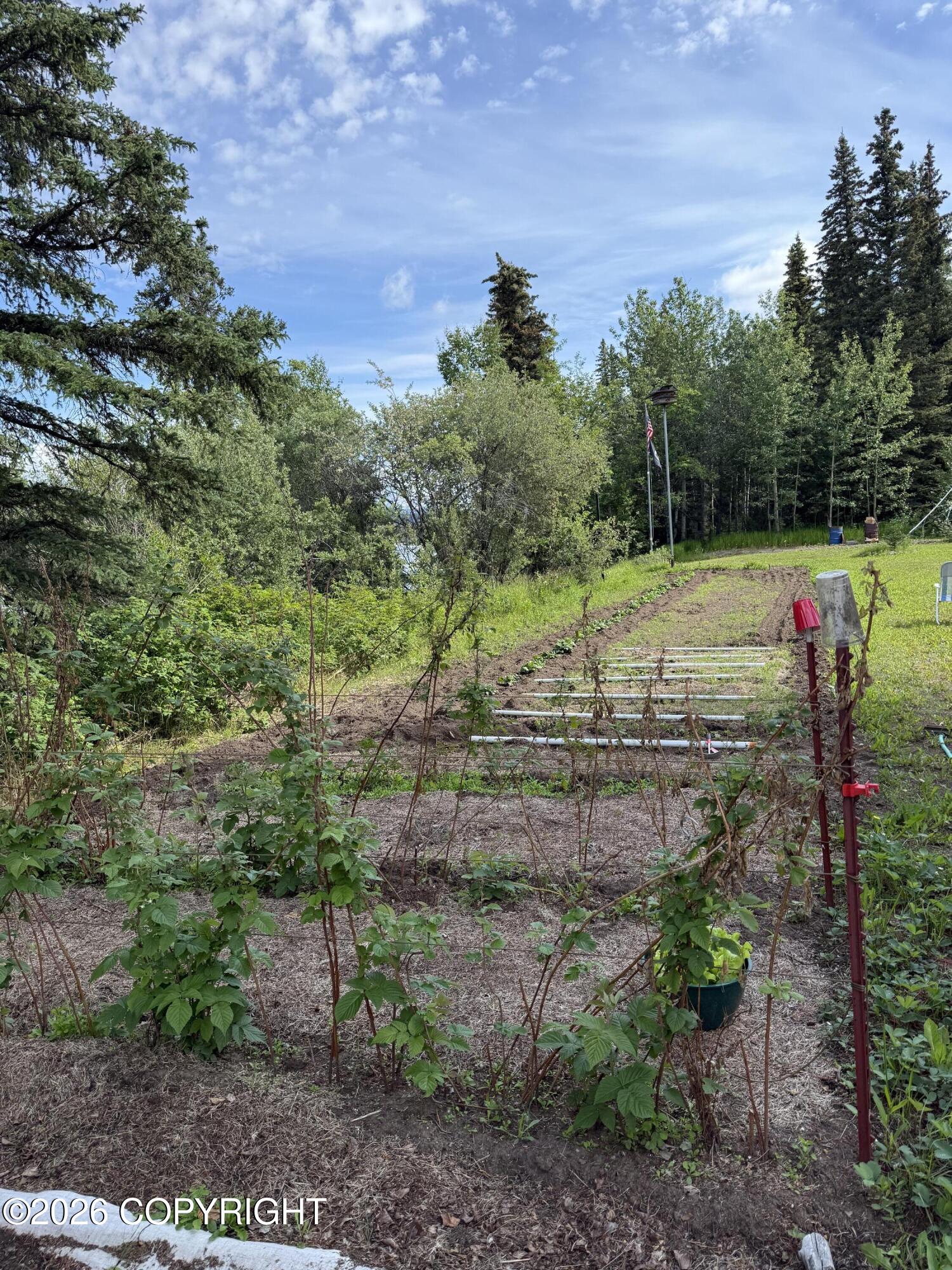 5855 Gold Rush Trail Property Photo 15