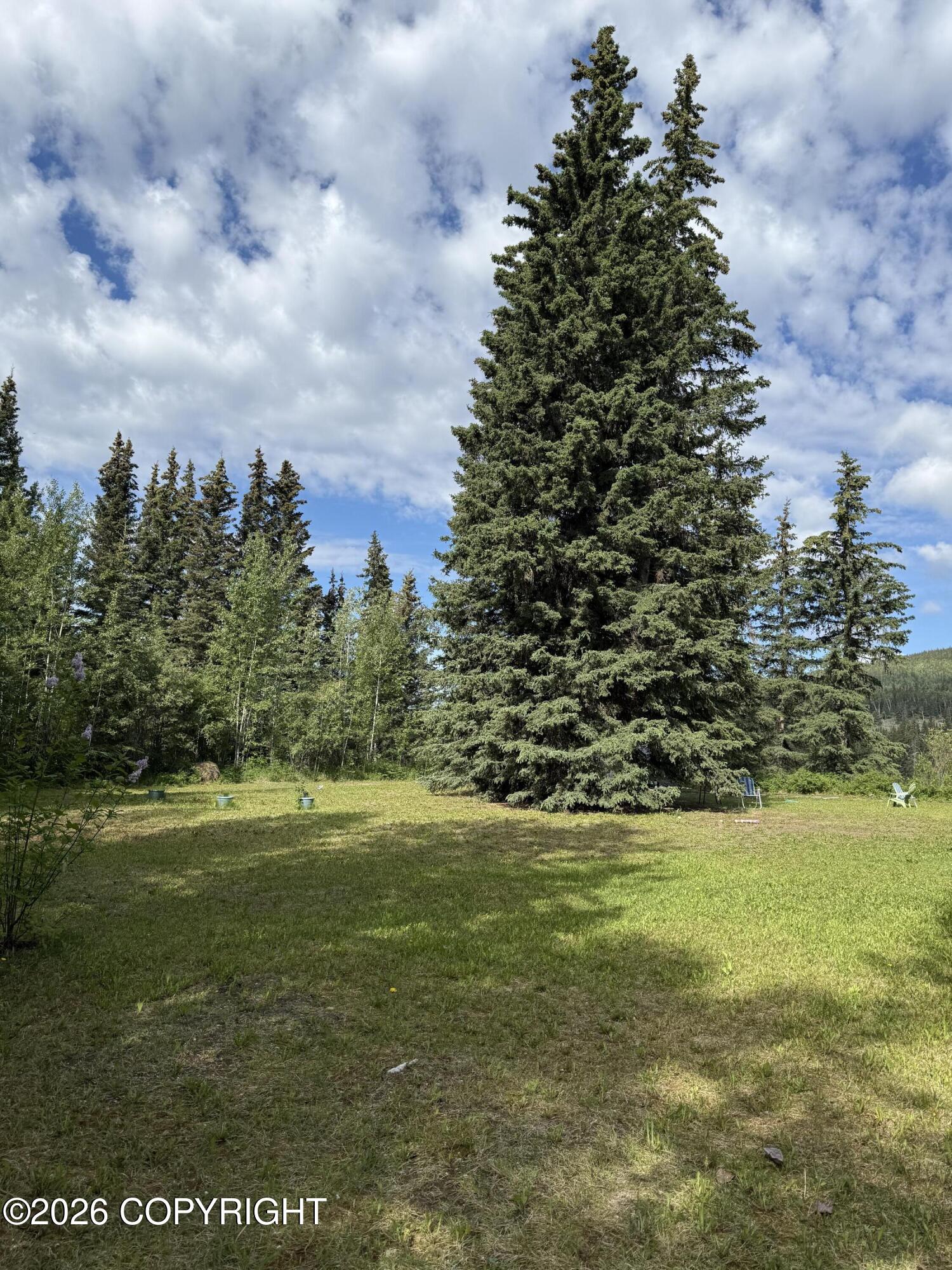 5855 Gold Rush Trail Property Photo 31