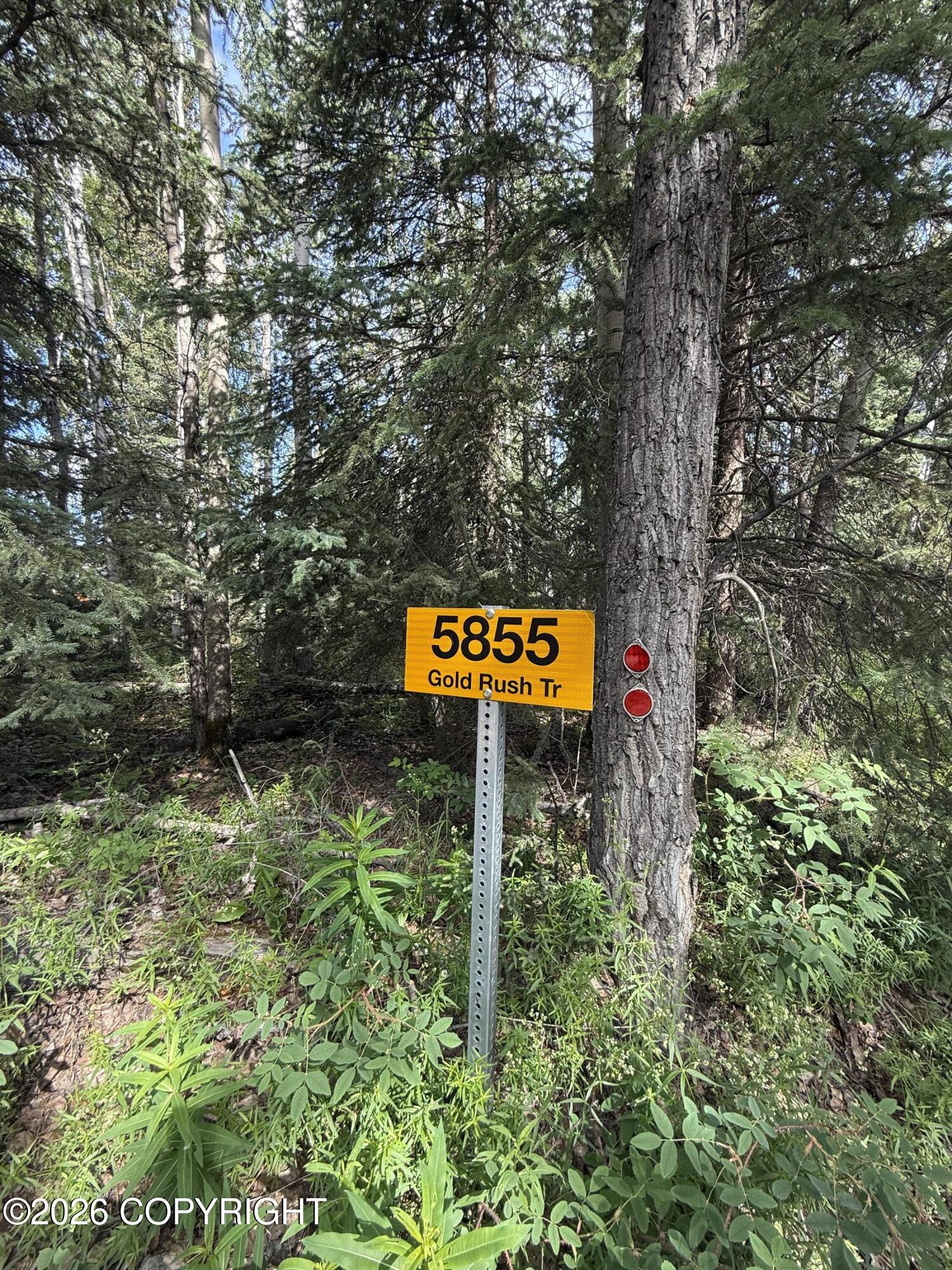 5855 Gold Rush Trail Property Photo 37