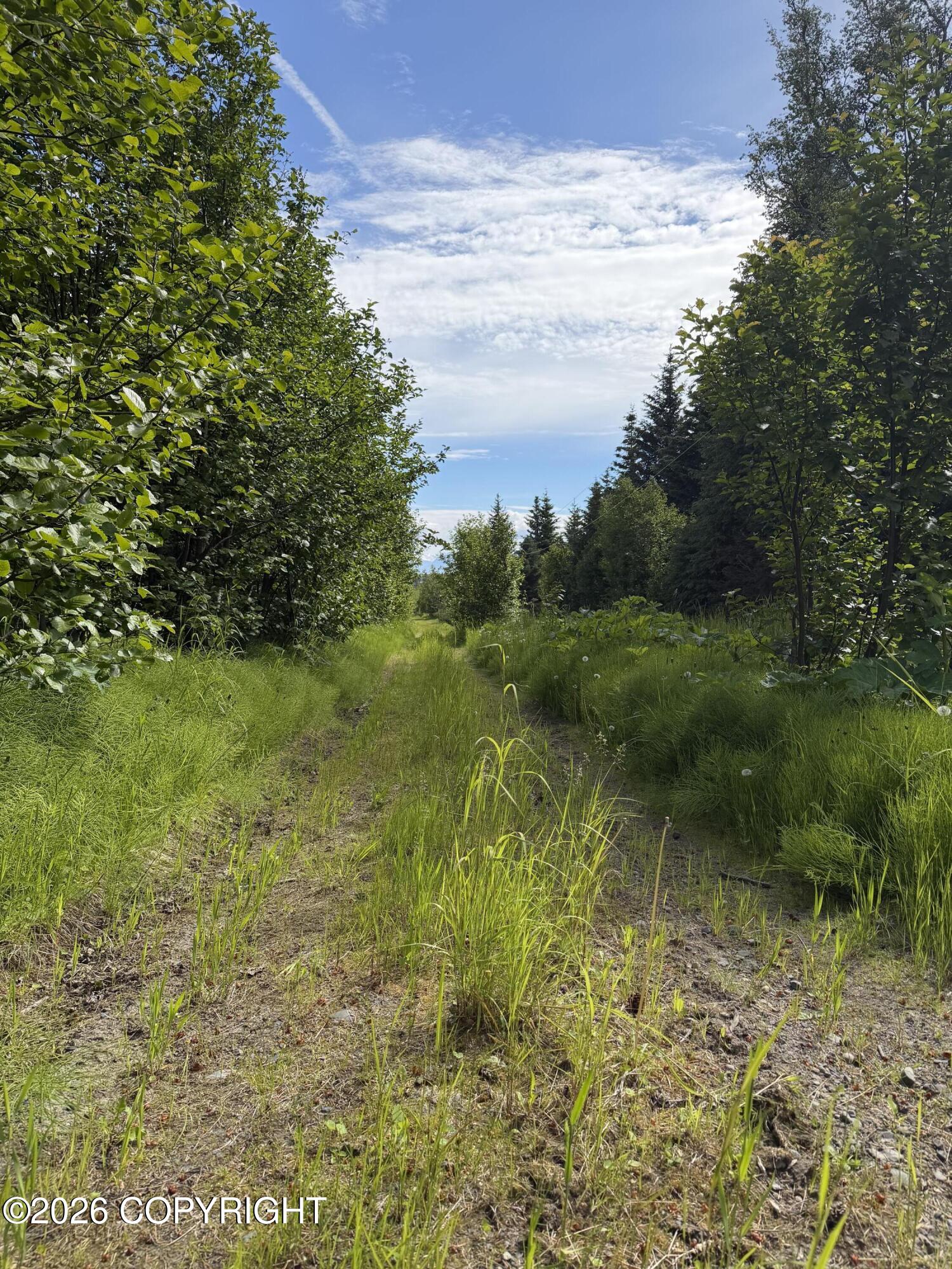 Tr 1-2 Moon Lane Property Photo 5