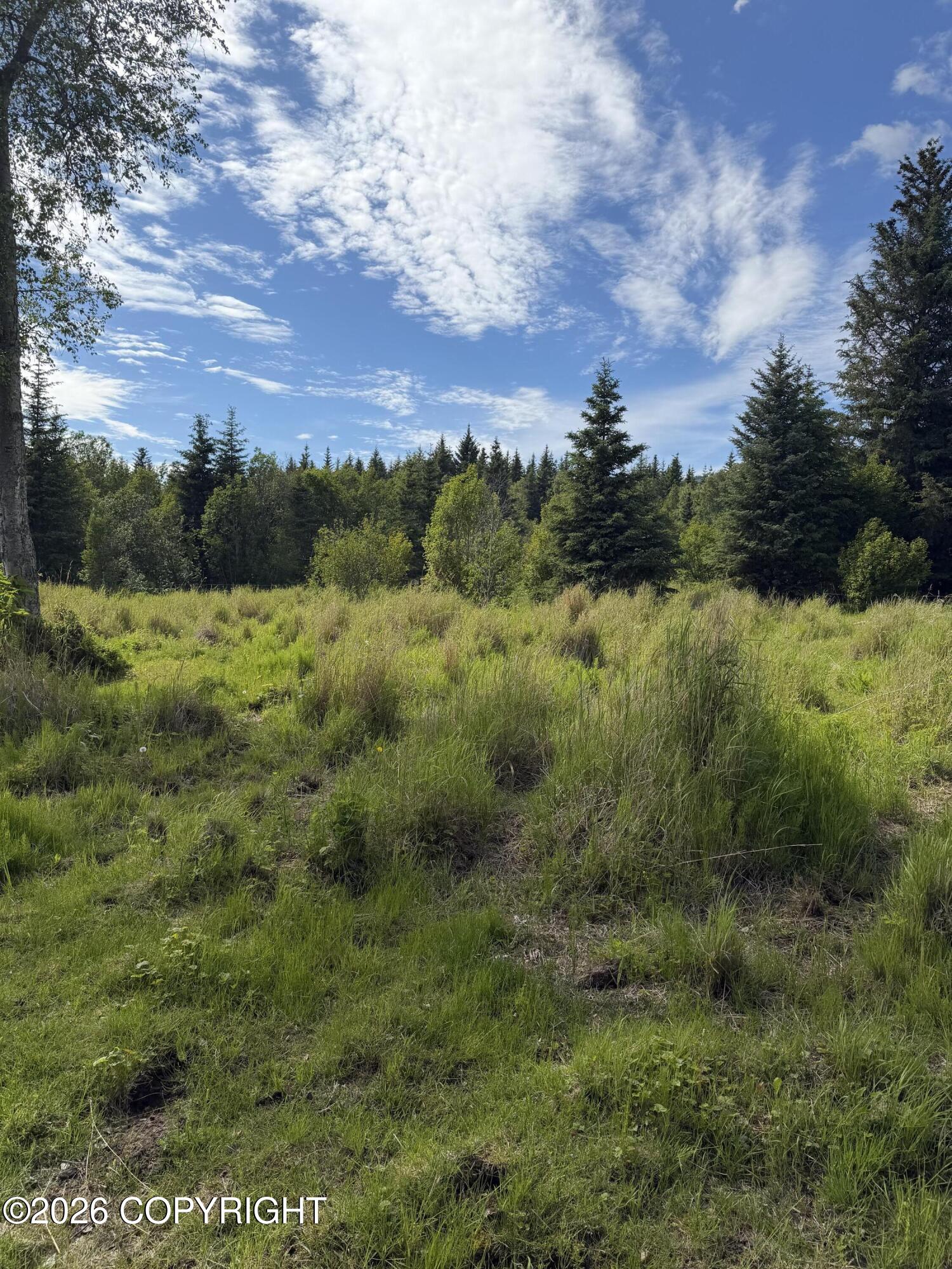 Tr 1-3 Moon Lane Property Photo 5