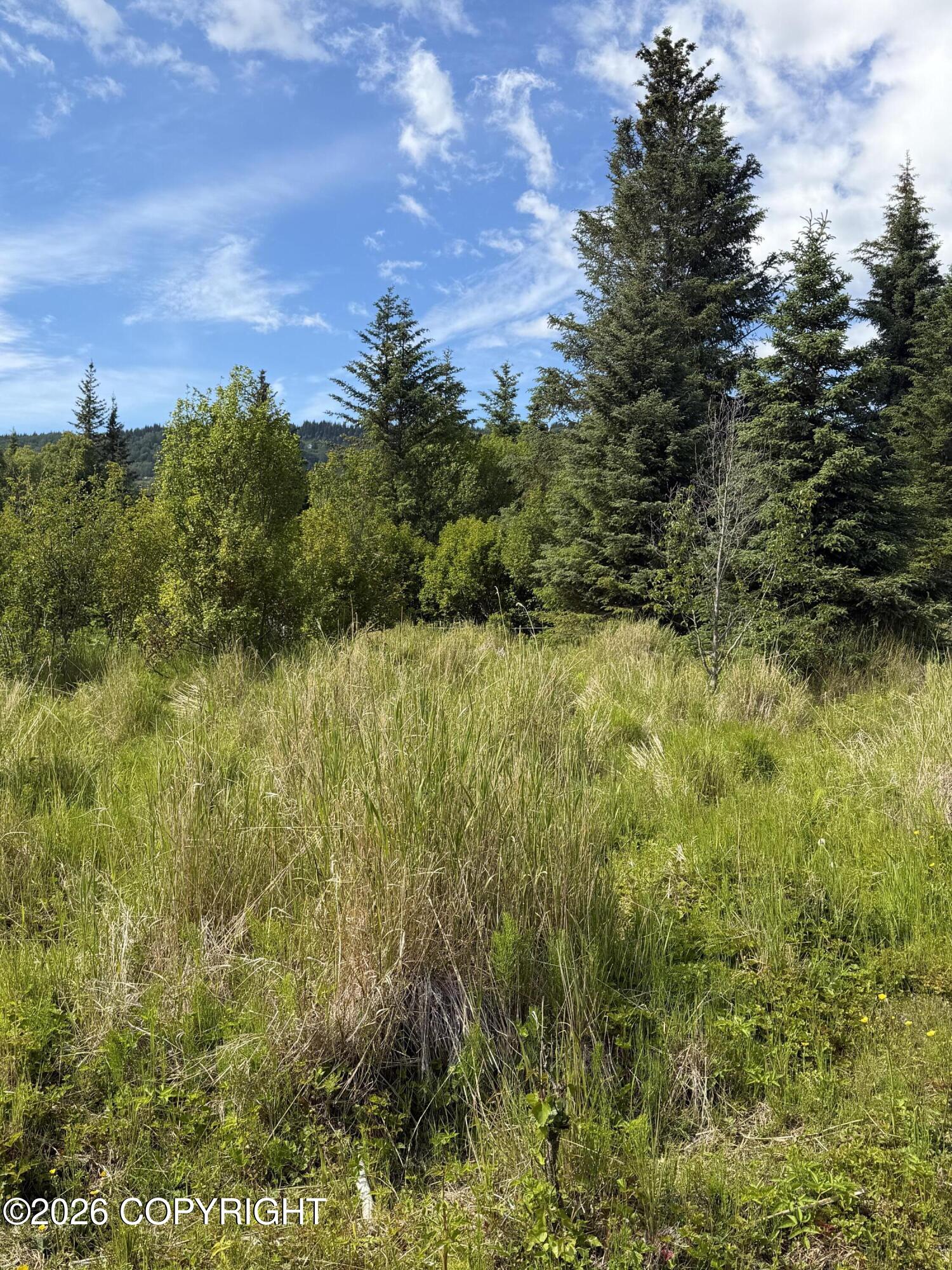 Tr 1-3 Moon Lane Property Photo 6