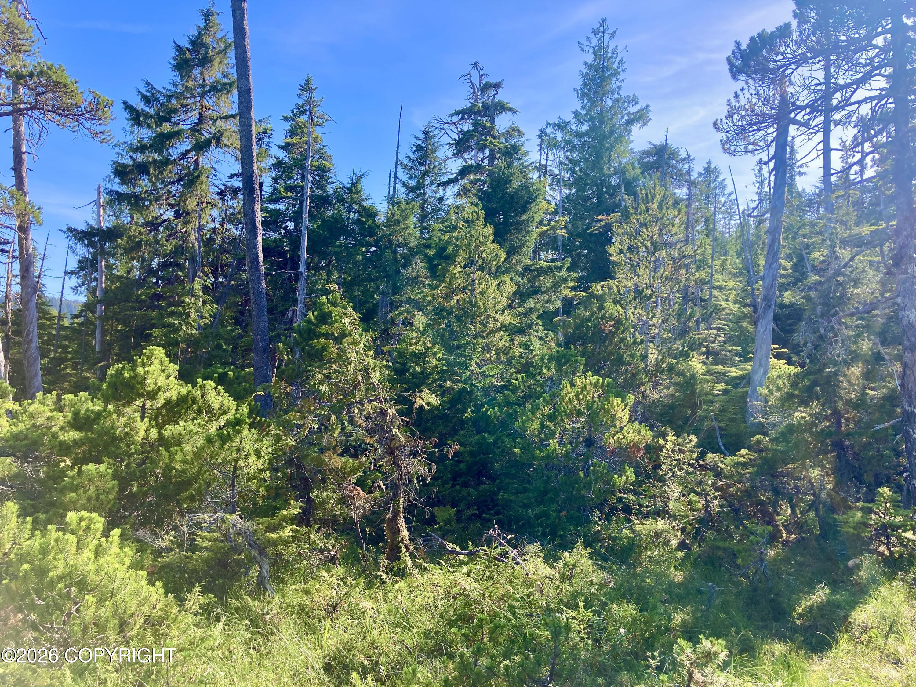 L3 W El Capitan Property Photo 11