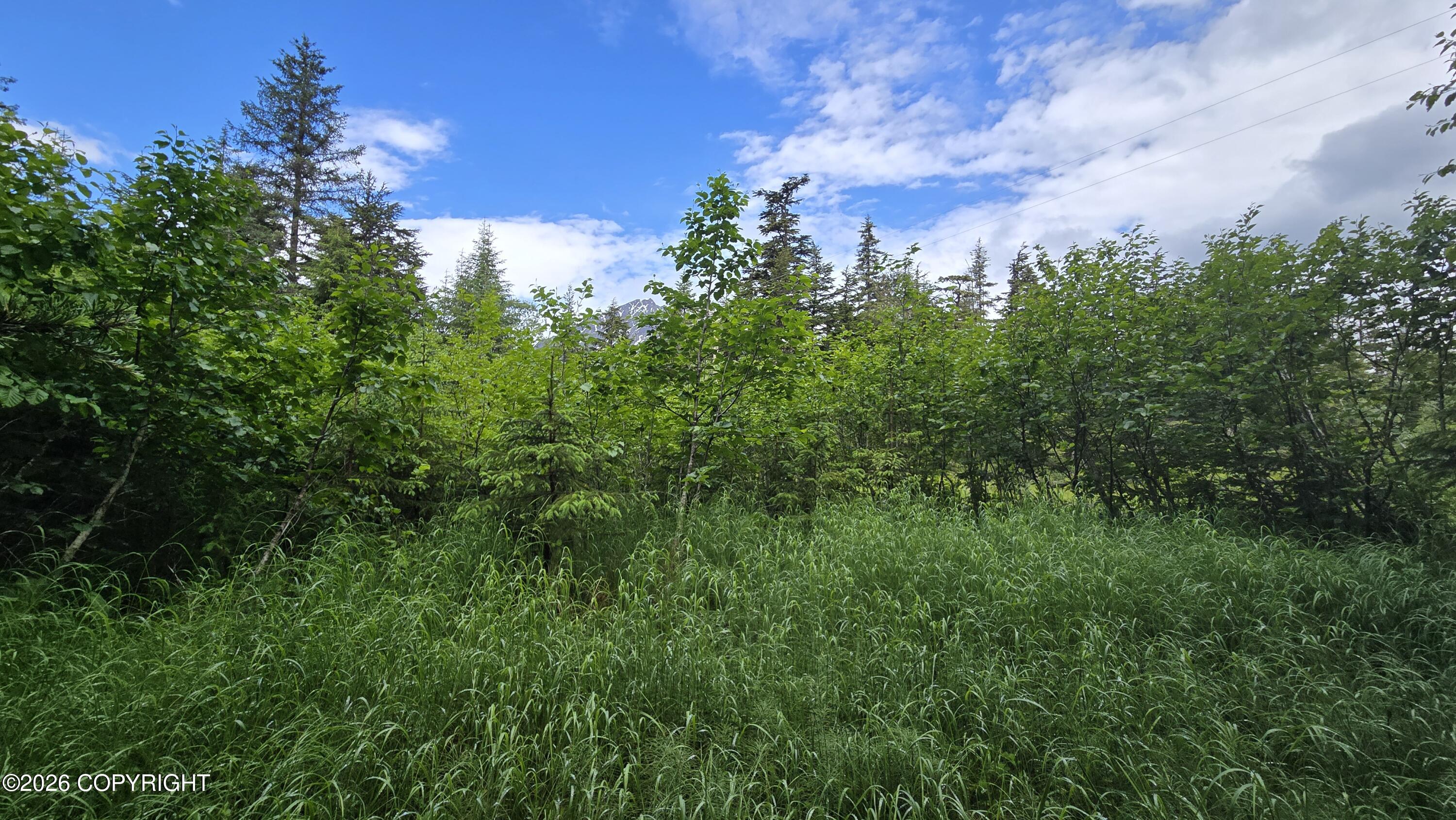 32735 Wizard Avenue Property Photo 7