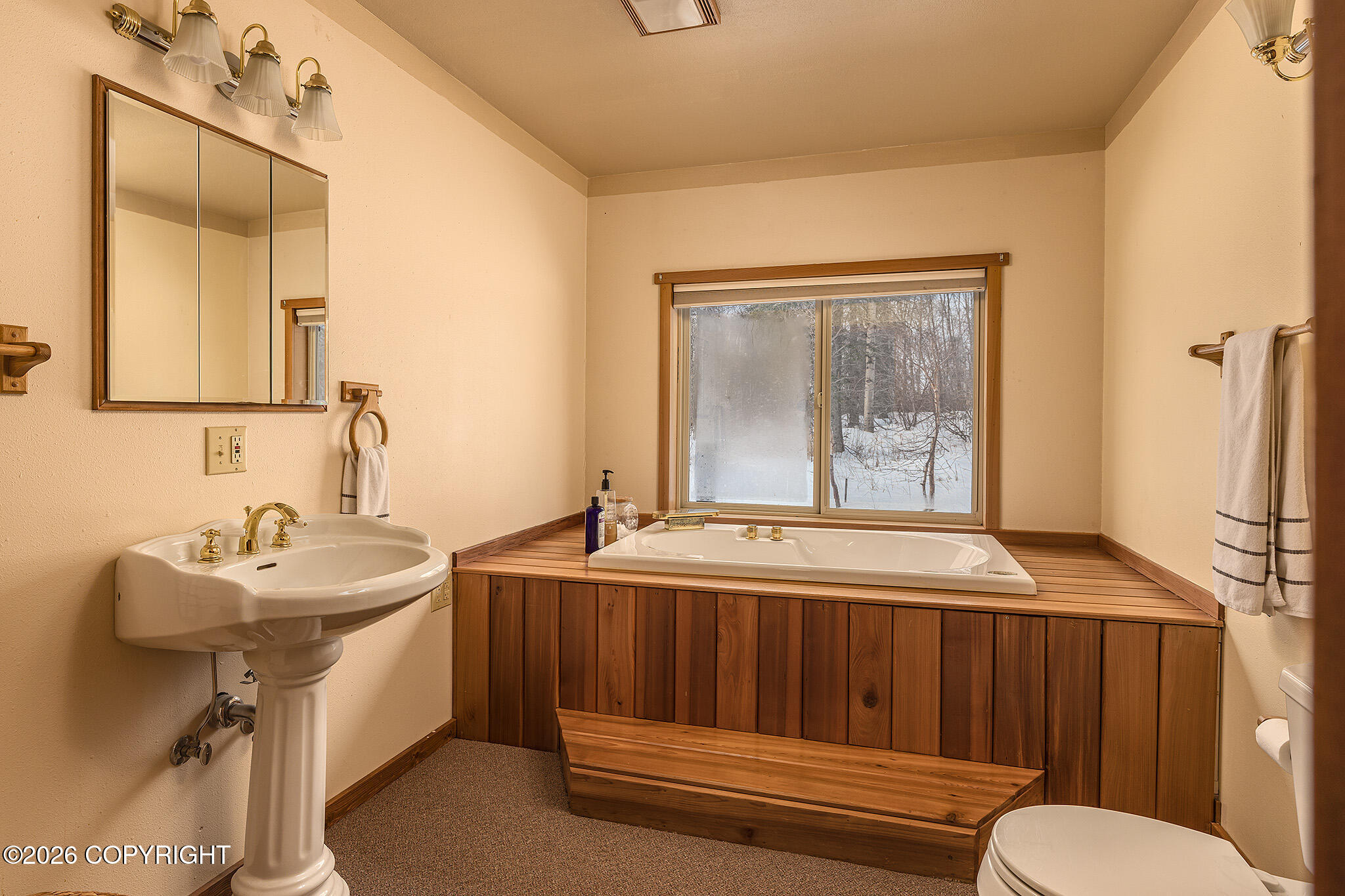 29161 N Parks Highway Property Photo 15
