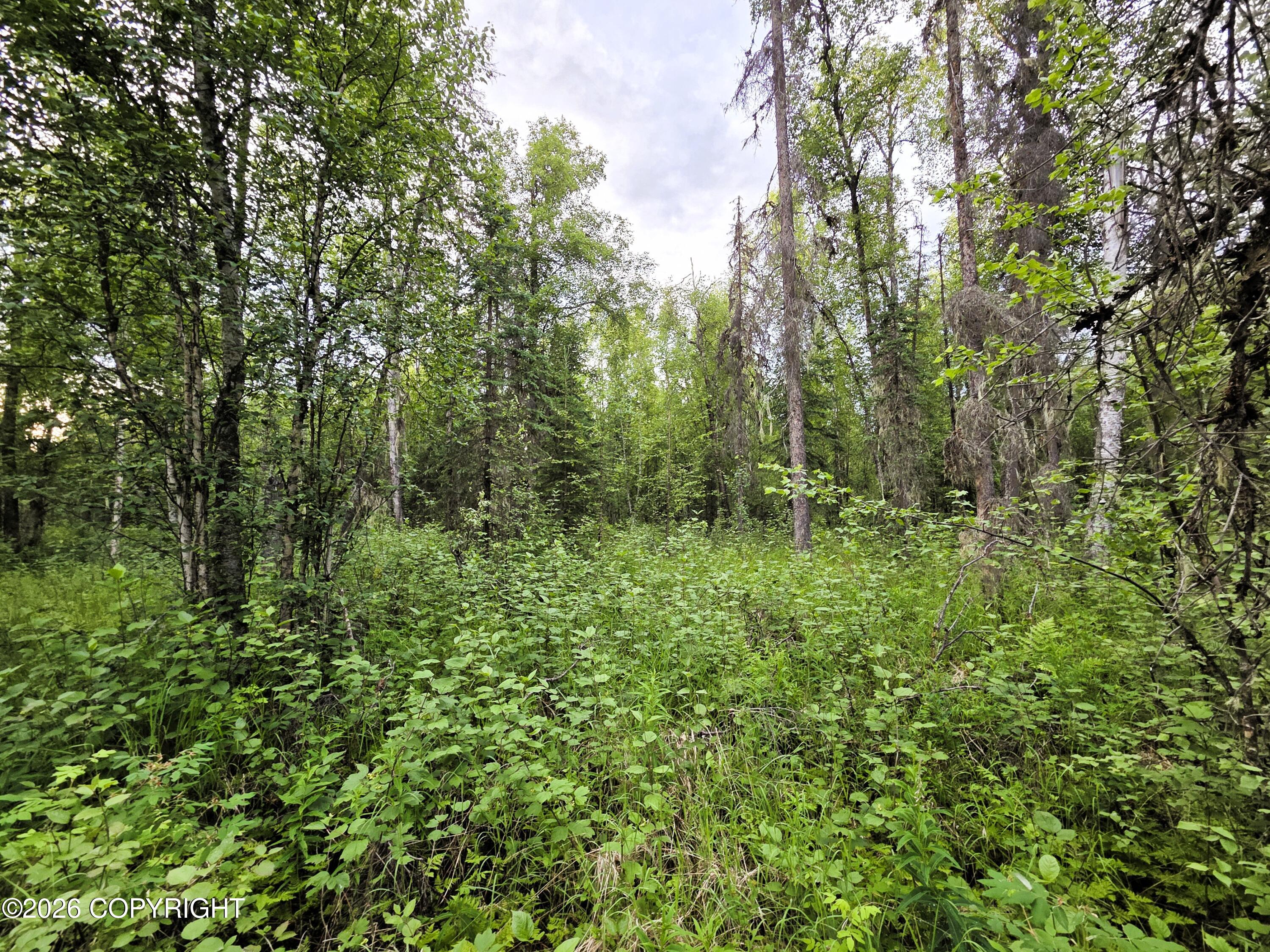 14403 E Lichtenwalner Road Property Photo 2