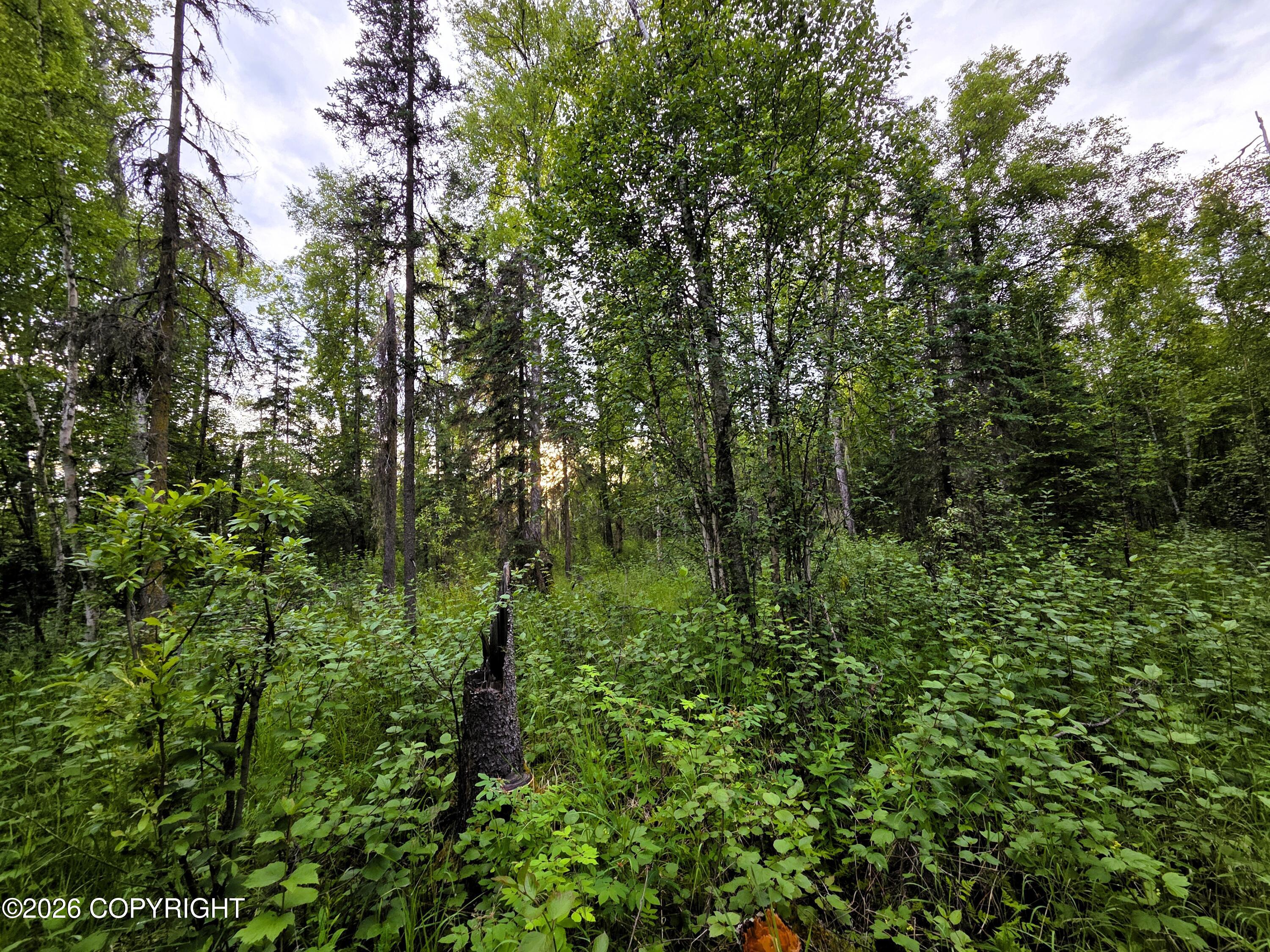 14403 E Lichtenwalner Road Property Photo 3