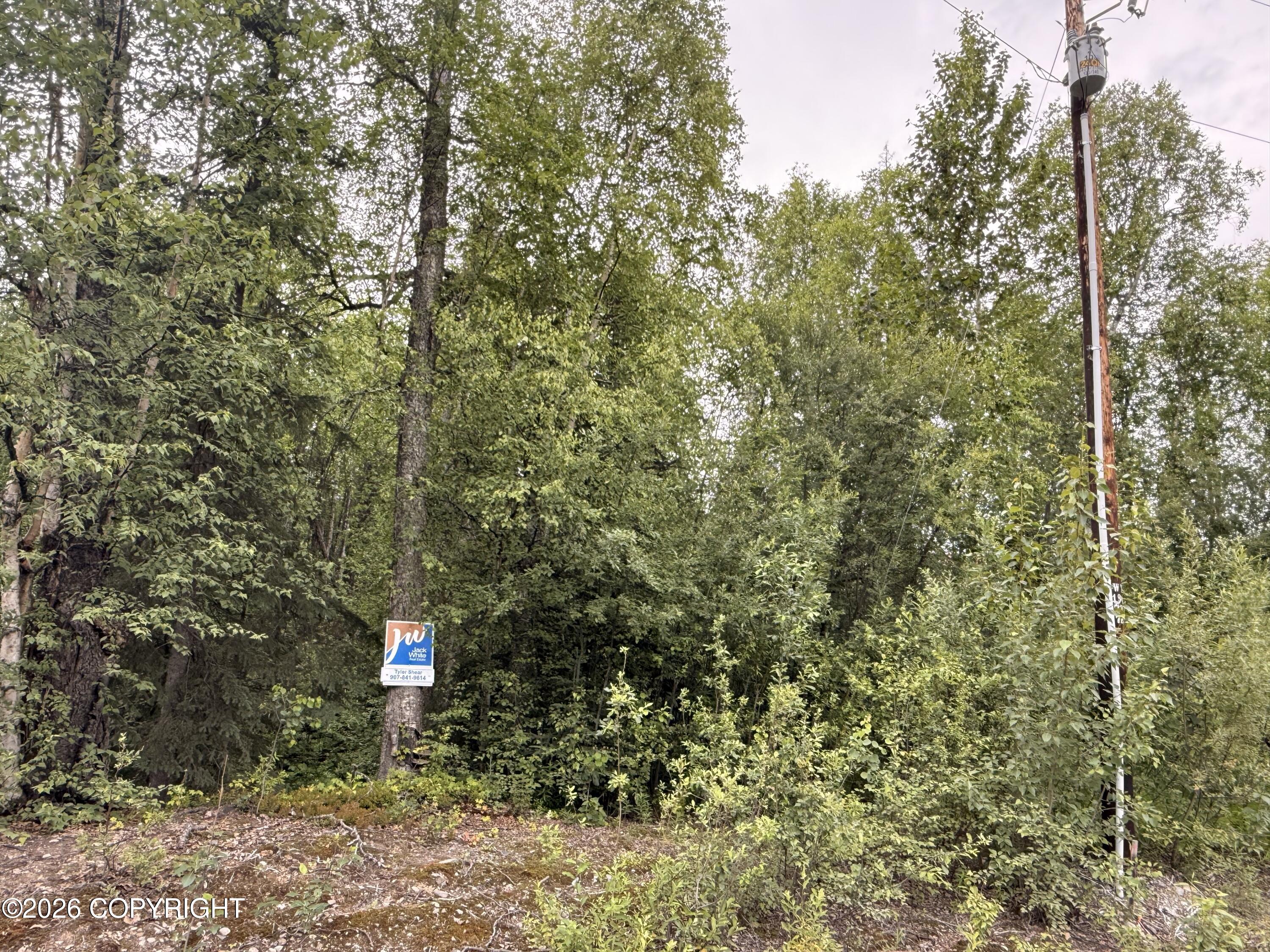 21501 E Caswell Lakes Road Property Photo 6
