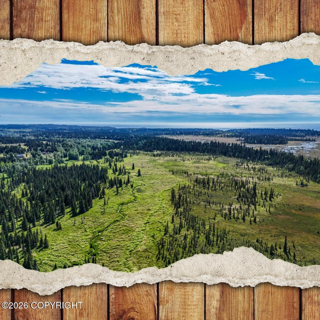 000 North Fork Anchor River Property Photo 1