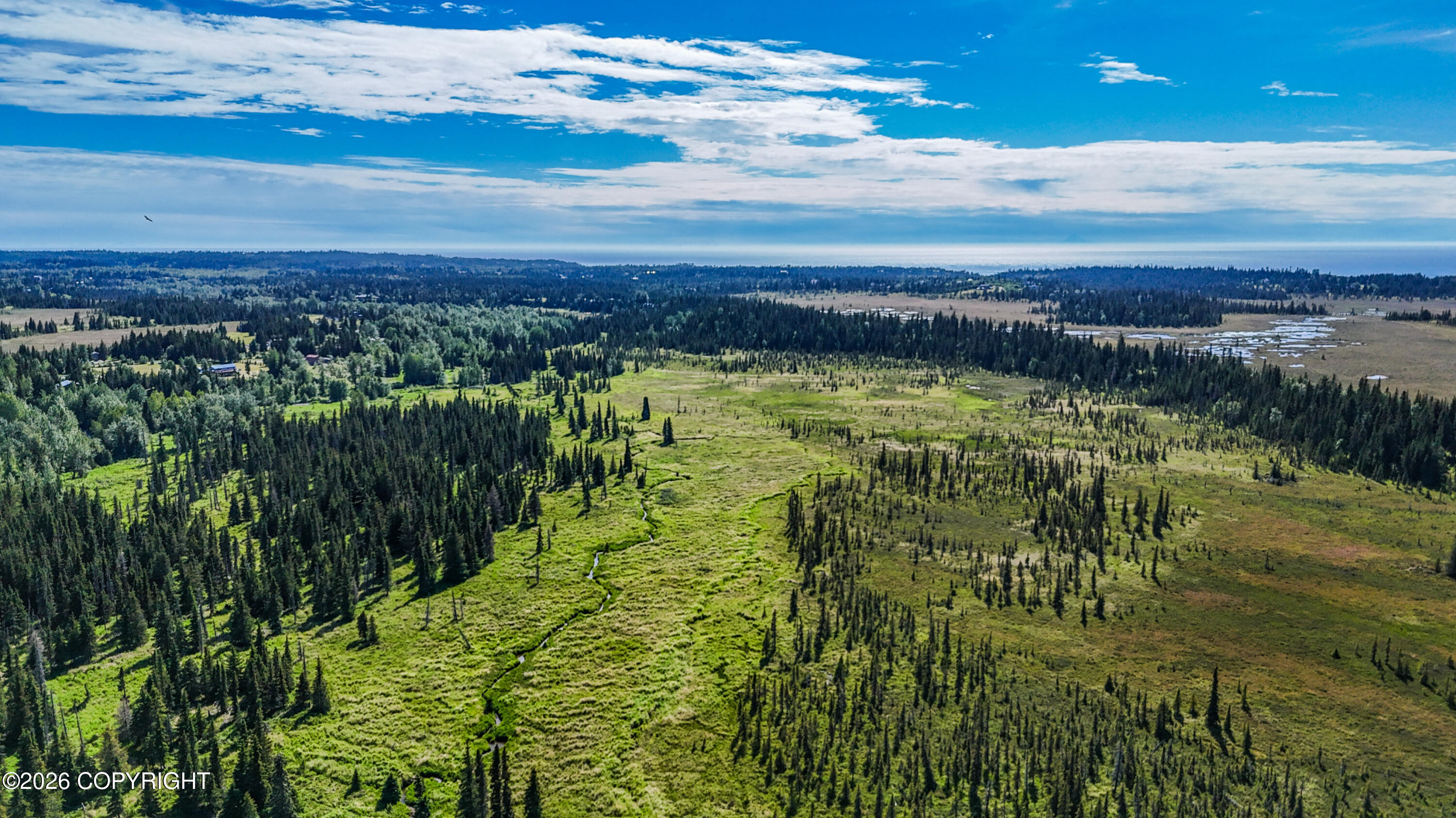 000 North Fork Anchor River Property Photo 2