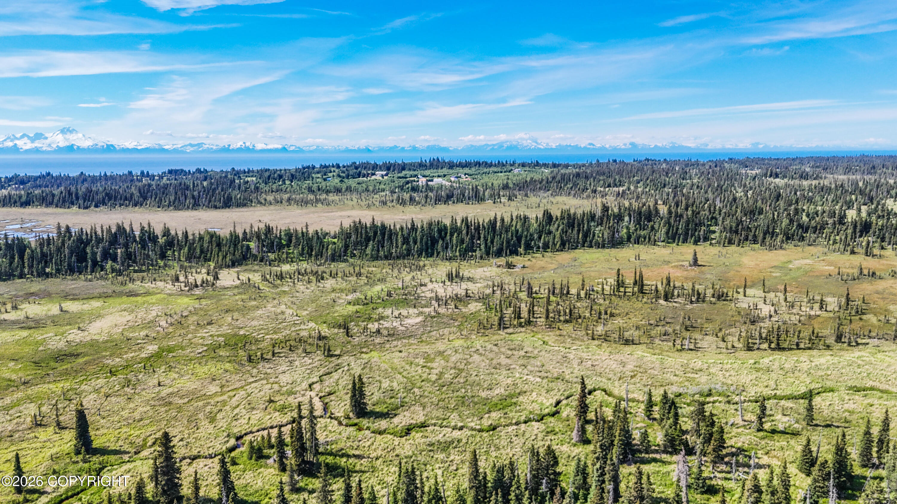 000 North Fork Anchor River Property Photo 3