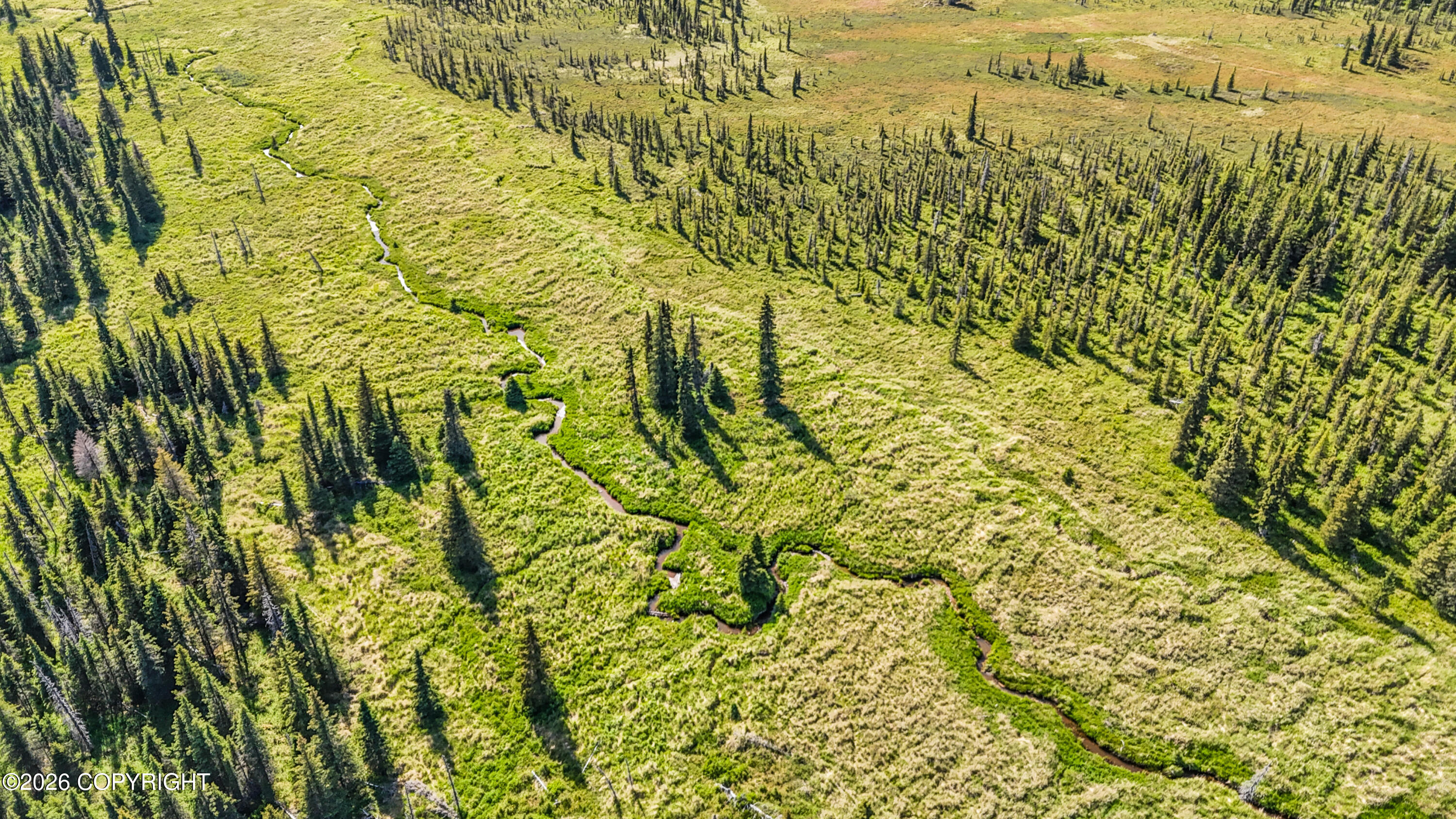 000 North Fork Anchor River Property Photo 5