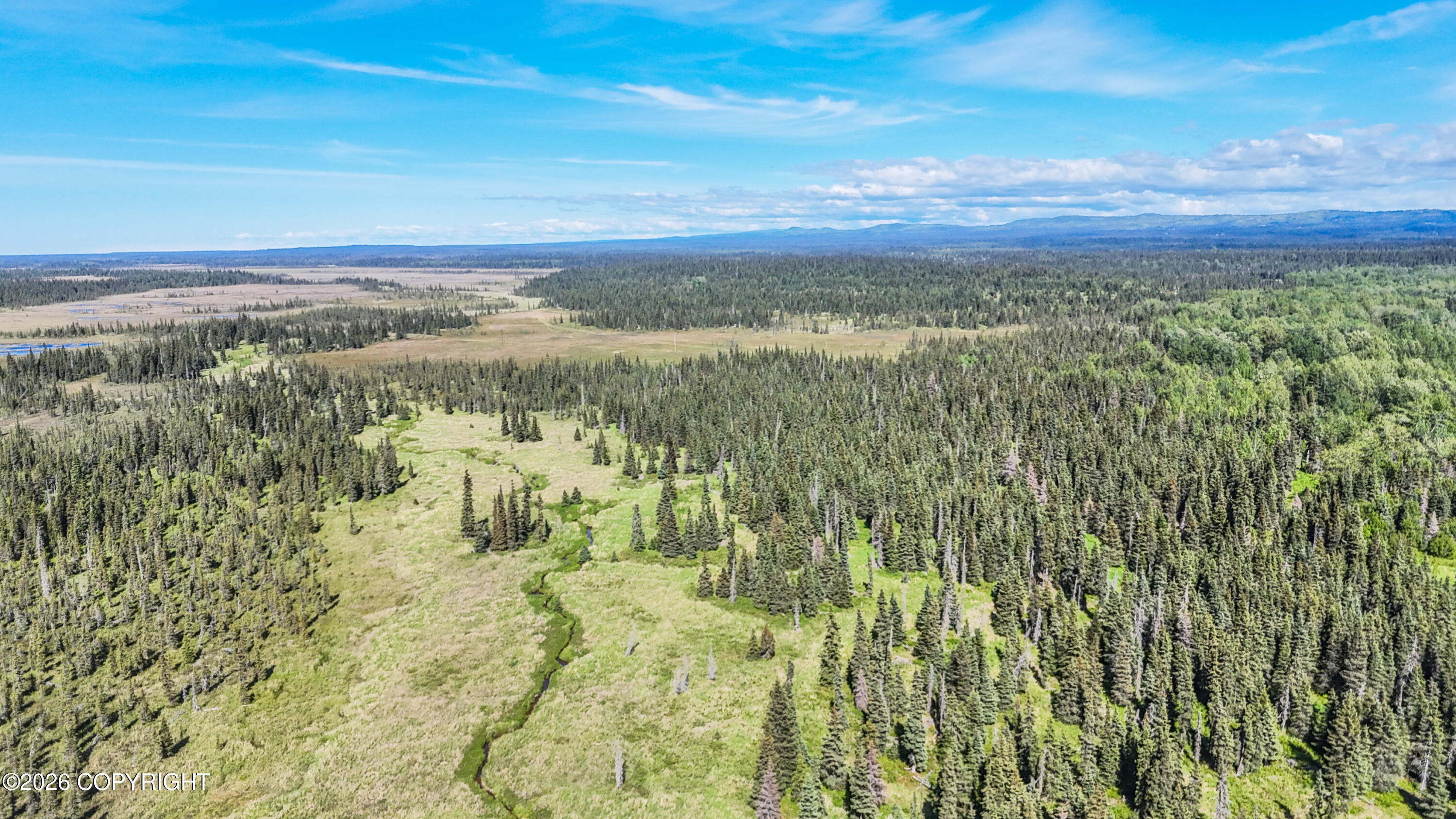 000 North Fork Anchor River Property Photo 6