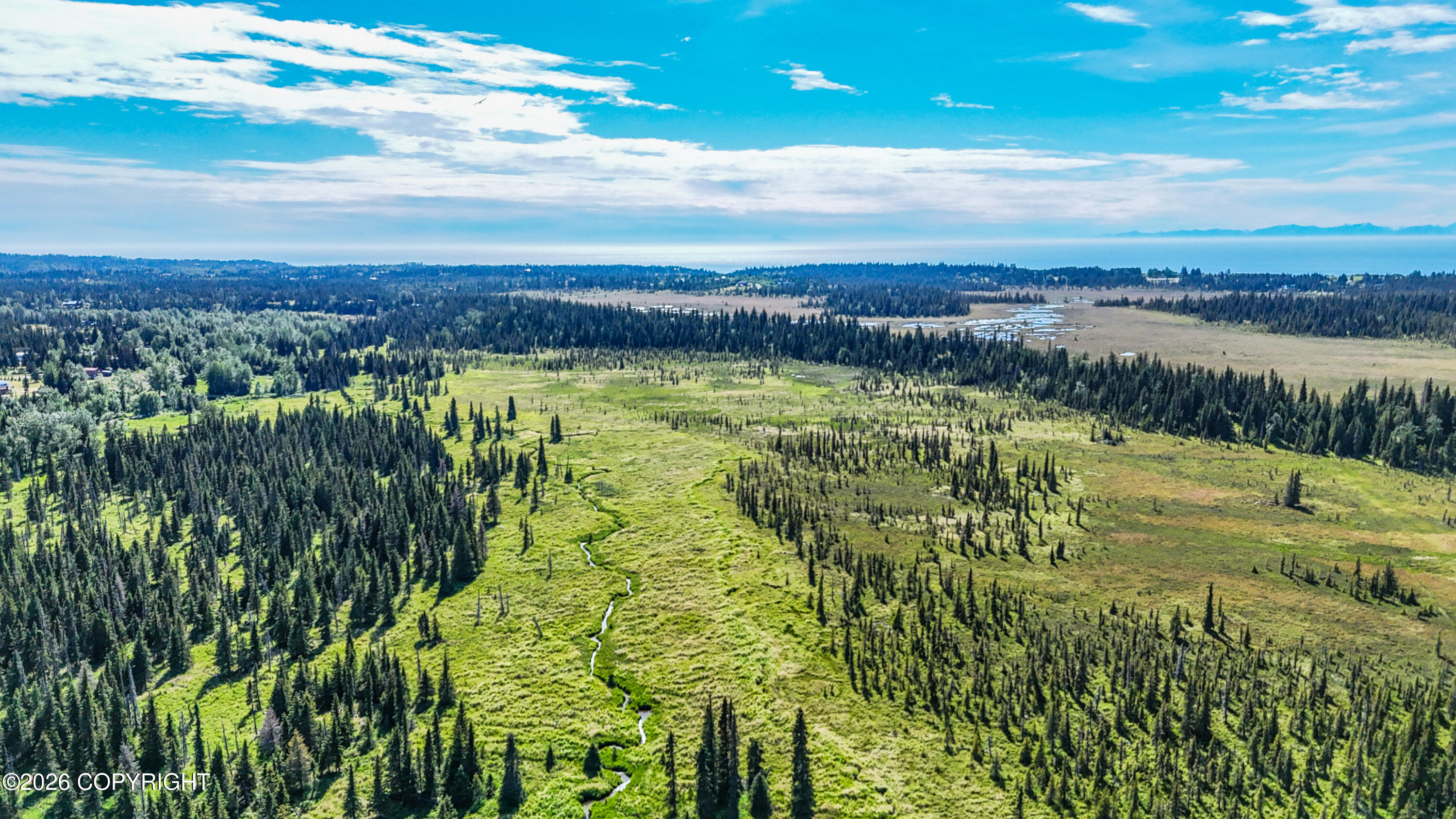 000 North Fork Anchor River Property Photo 7