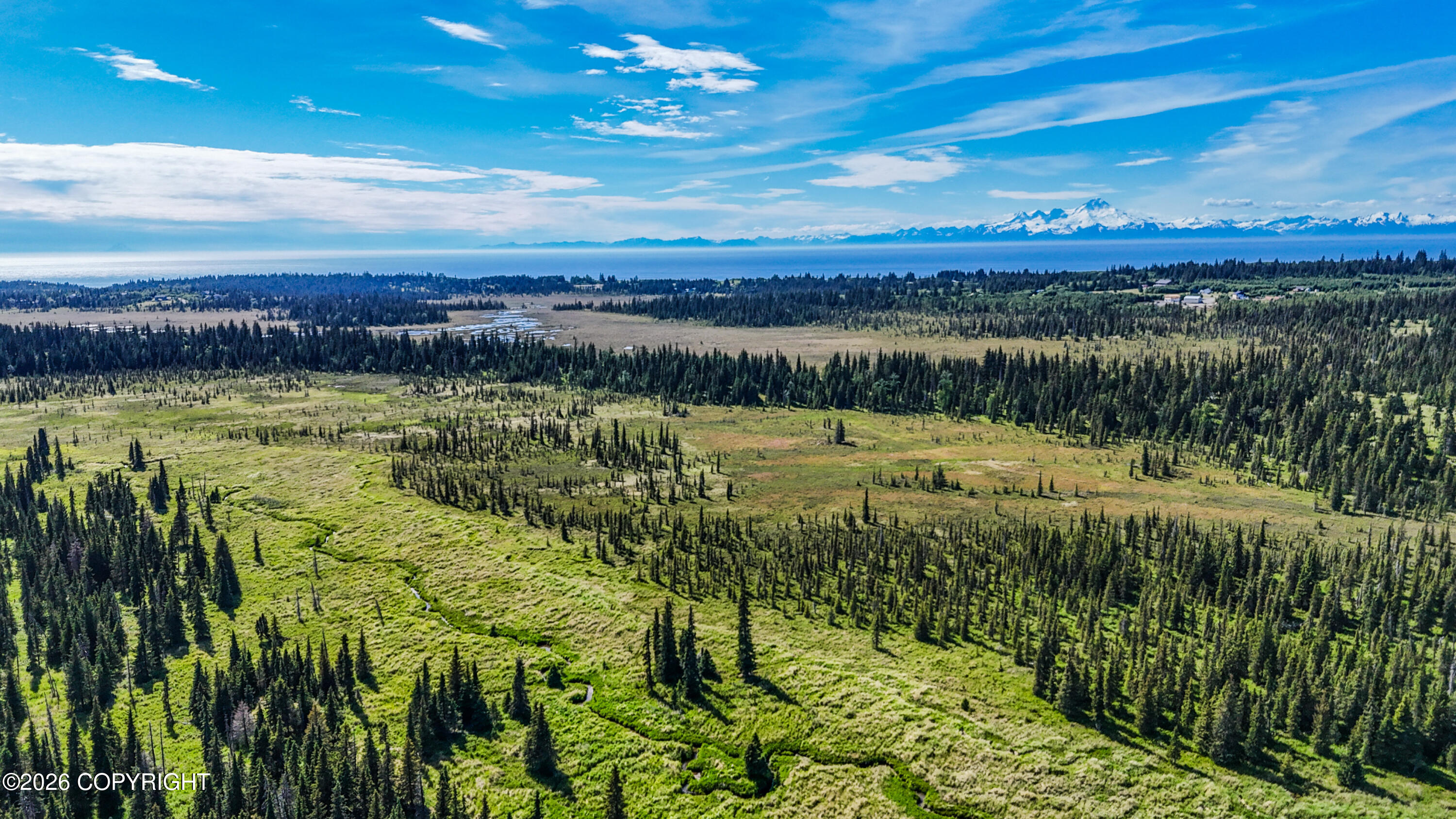 000 North Fork Anchor River Property Photo 9