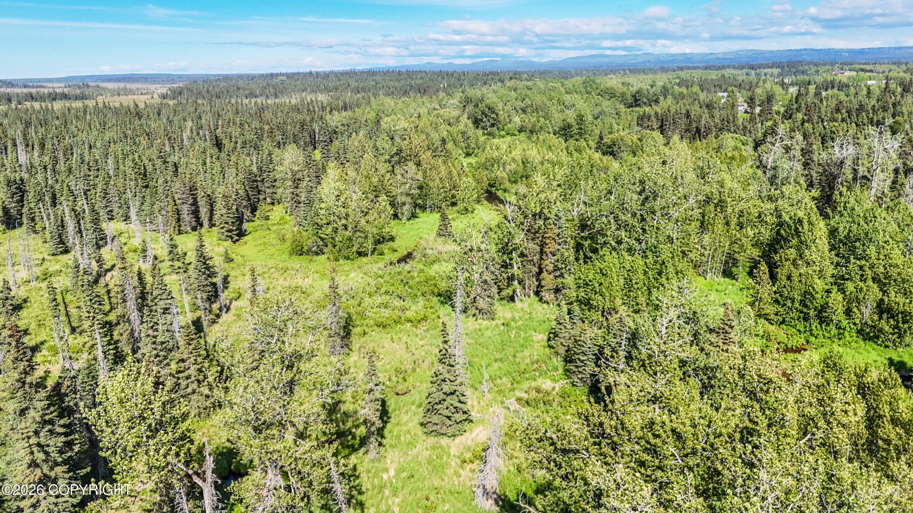 Mi 3 North Fork Anchor River Property Photo 23