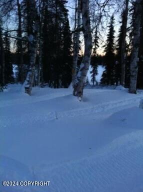 Tr I No Road Property Photo 11