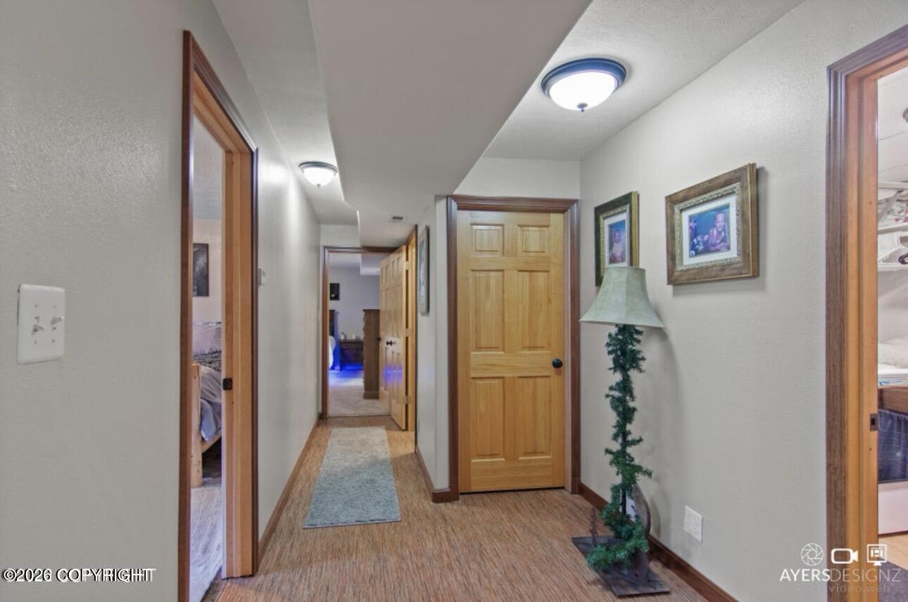40110 Iliamna Loop Property Photo 23